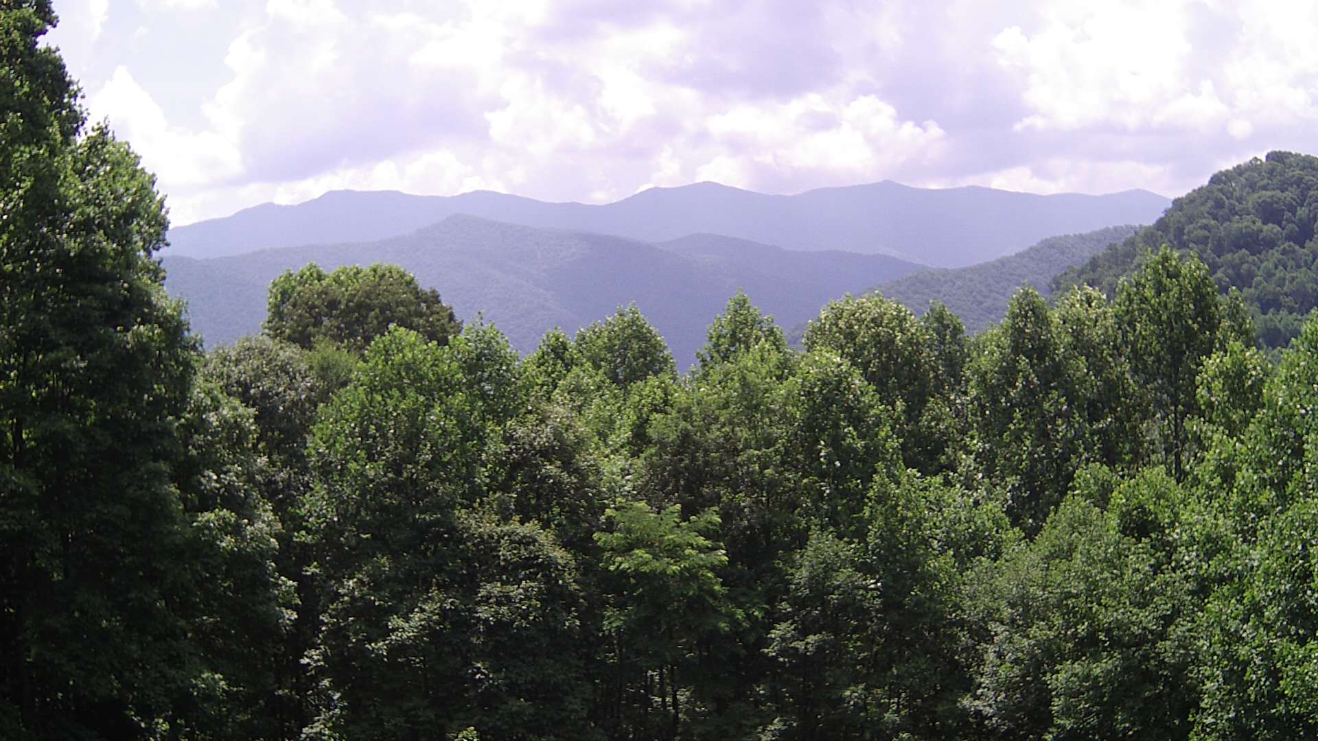 click for next image... slideshow image