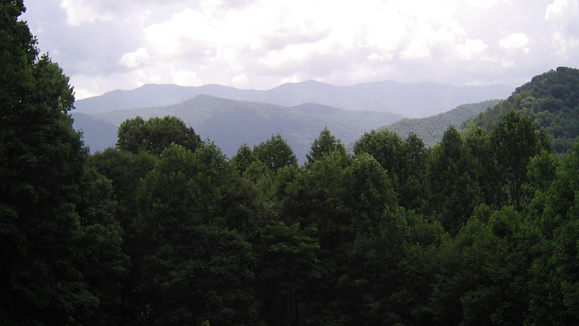 click for next image... slideshow image