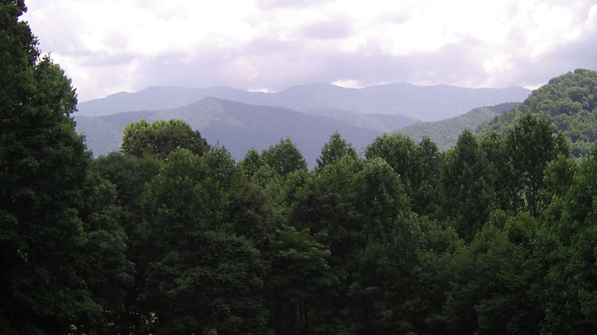 click for next image... slideshow image