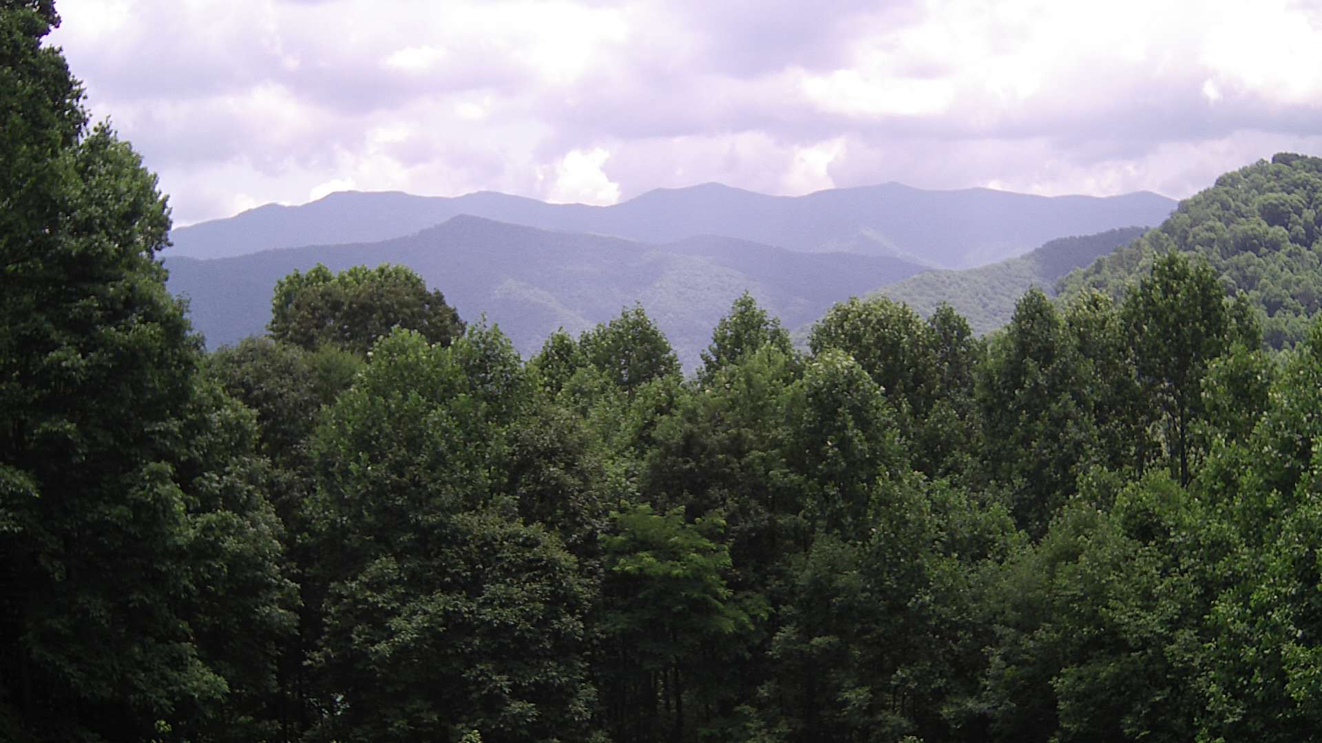 click for next image... slideshow image