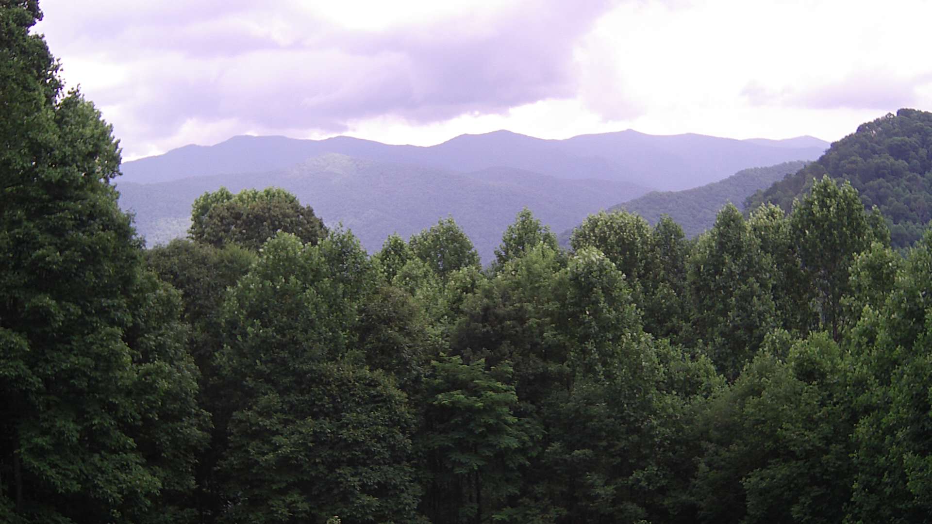 click for next image... slideshow image