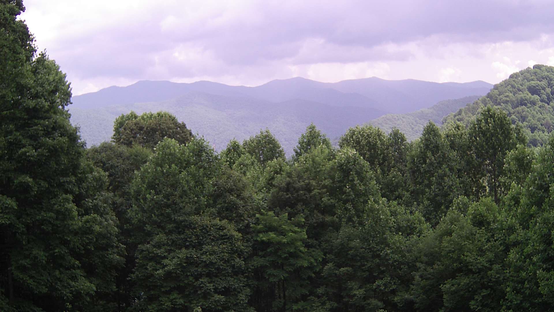 click for next image... slideshow image