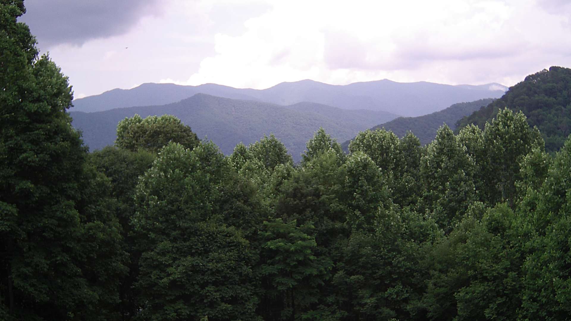 click for next image... slideshow image