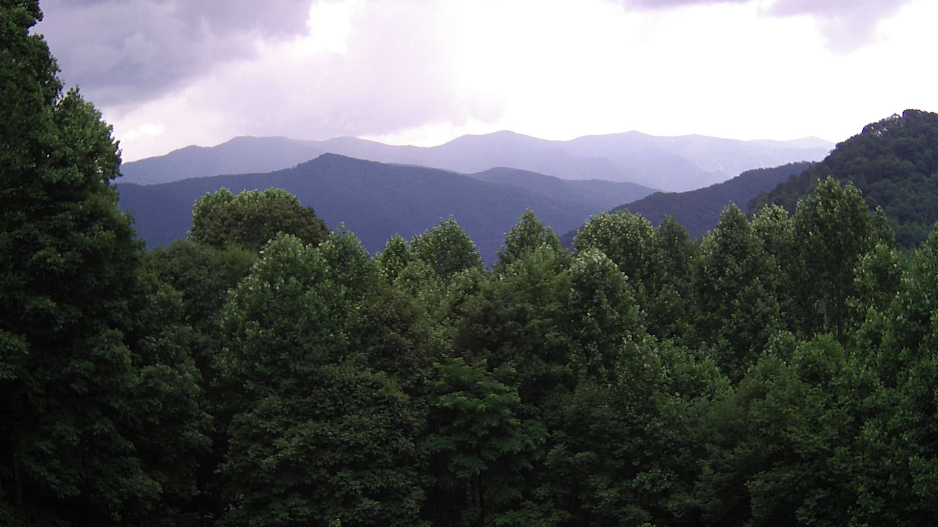 click for next image... slideshow image