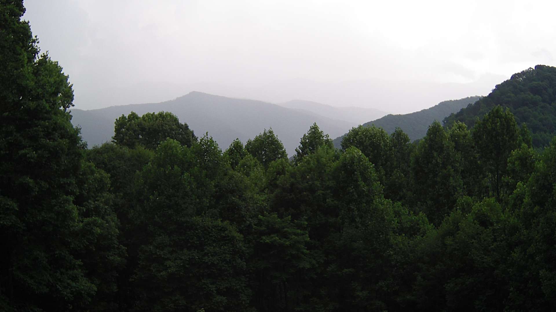 click for next image... slideshow image