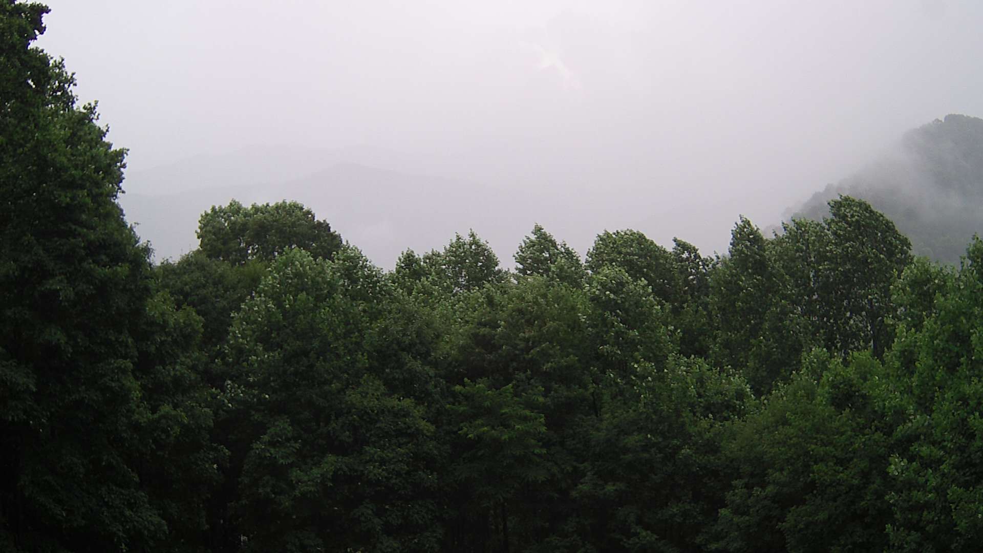 click for next image... slideshow image