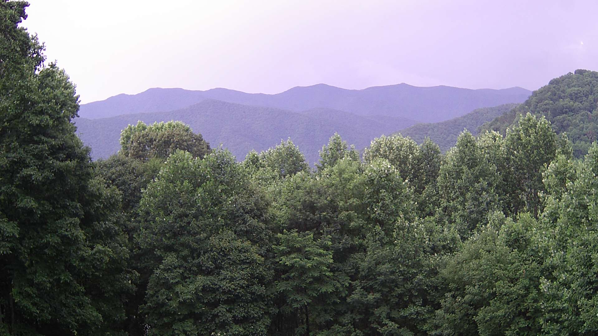 click for next image... slideshow image