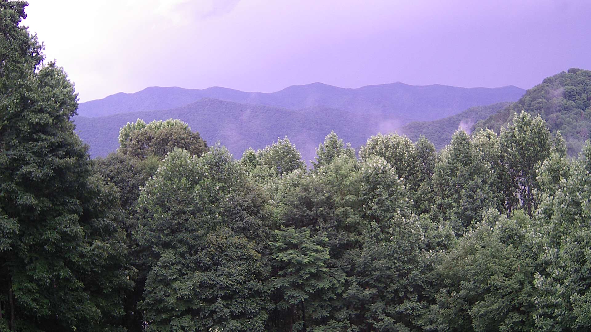 click for next image... slideshow image