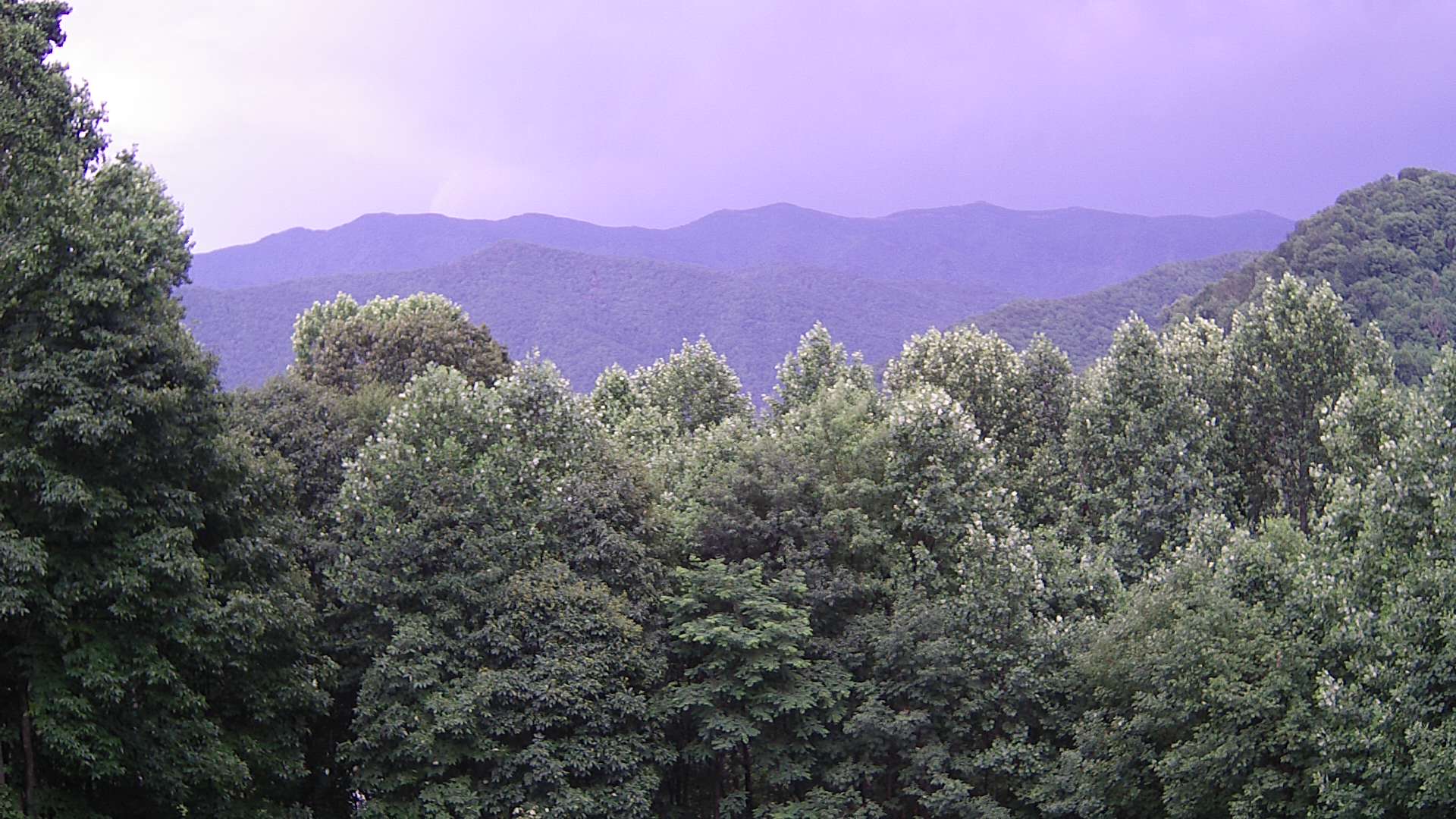 click for next image... slideshow image