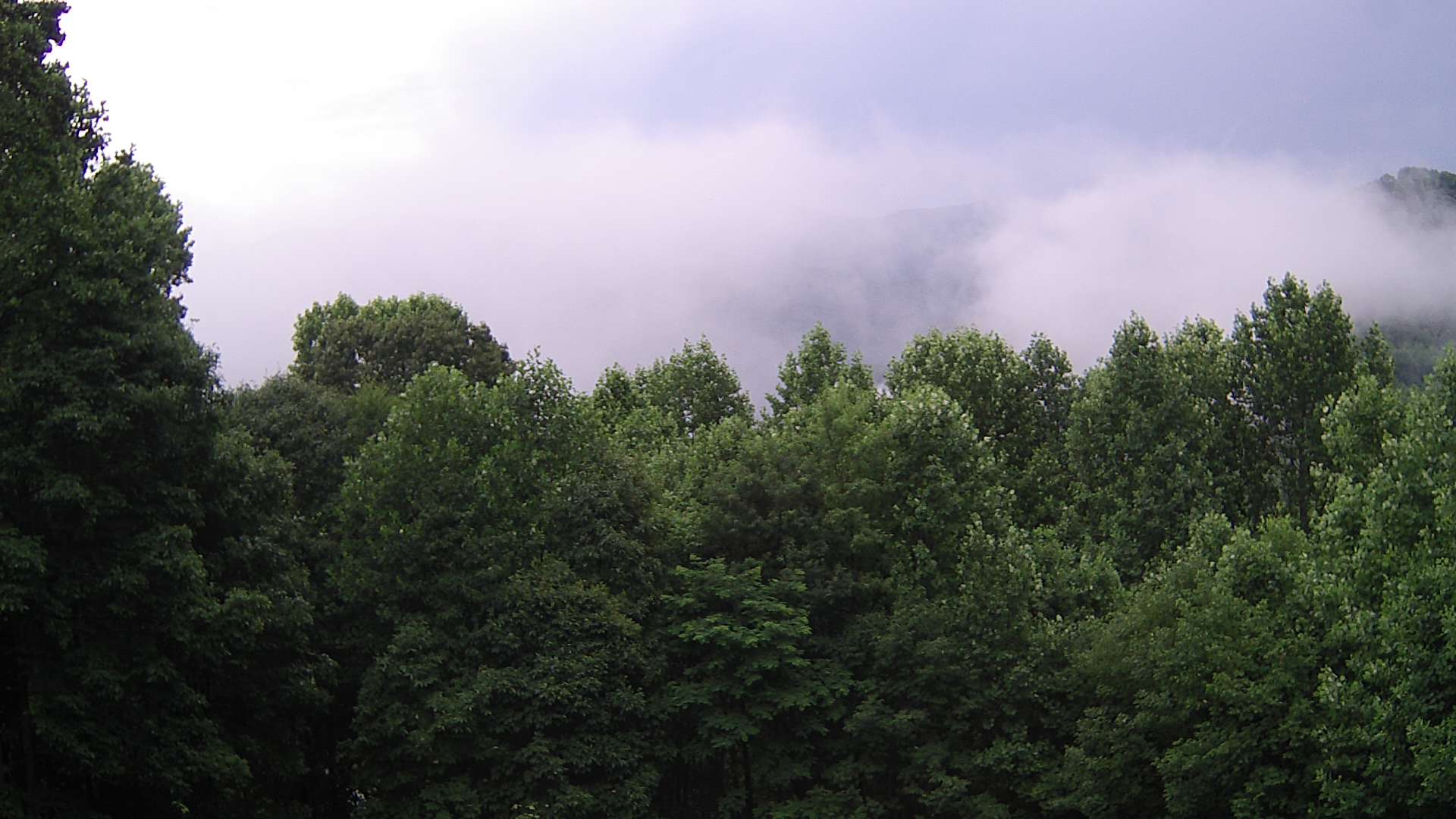 click for next image... slideshow image