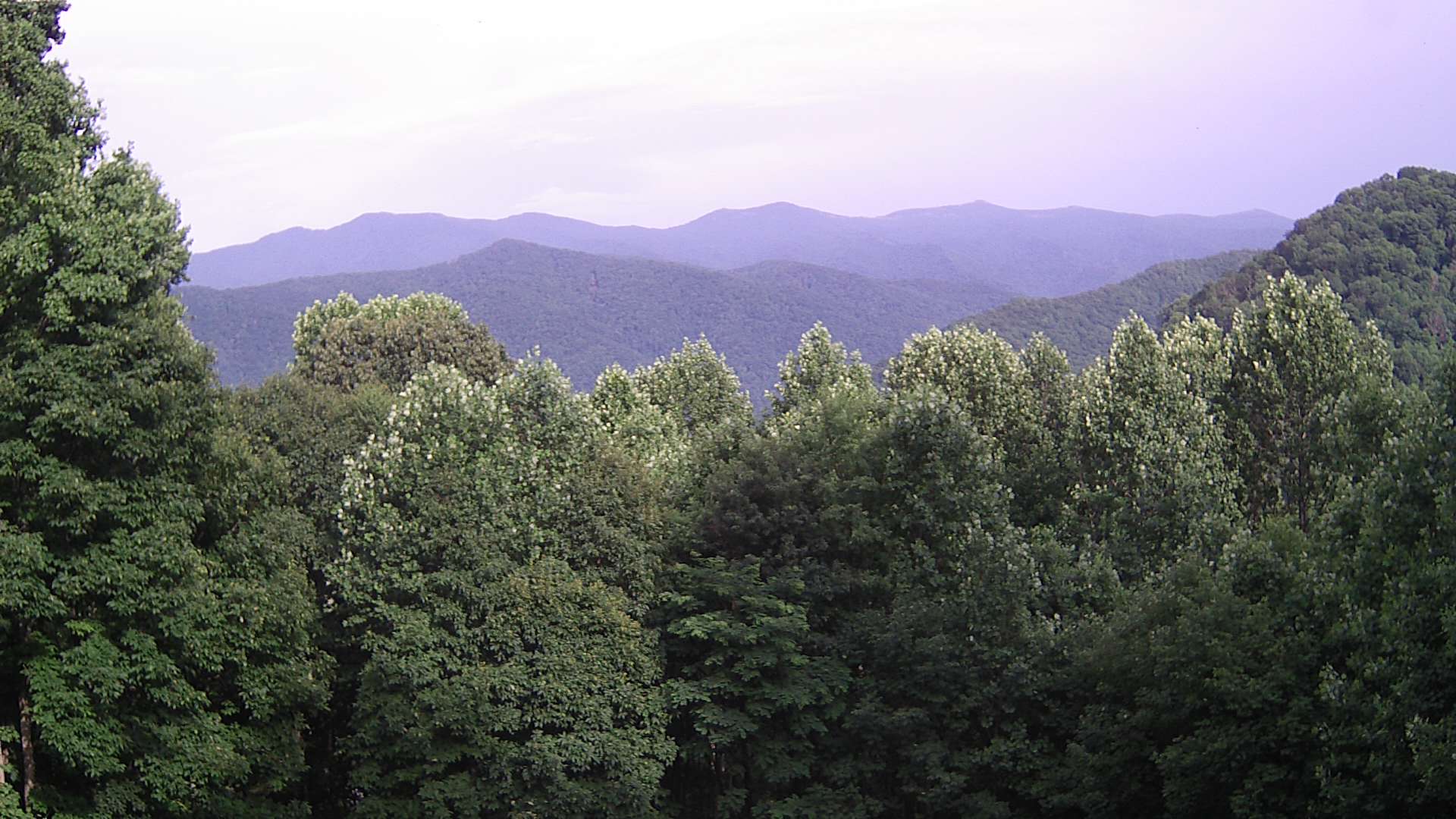 click for next image... slideshow image