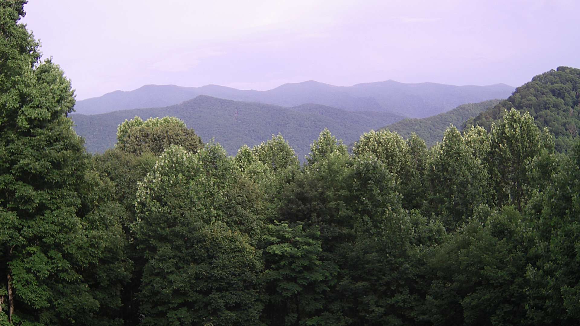 click for next image... slideshow image