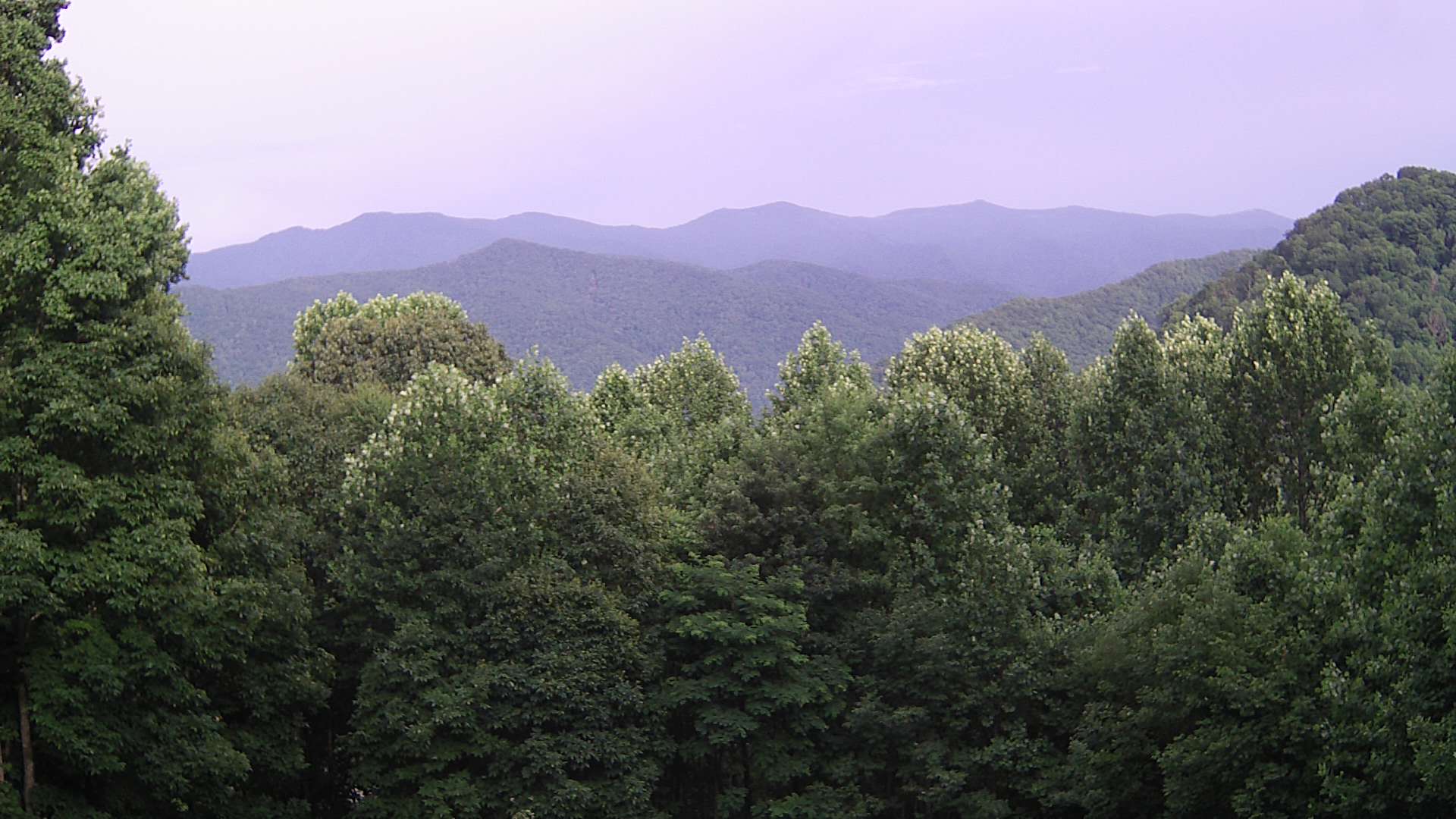 click for next image... slideshow image