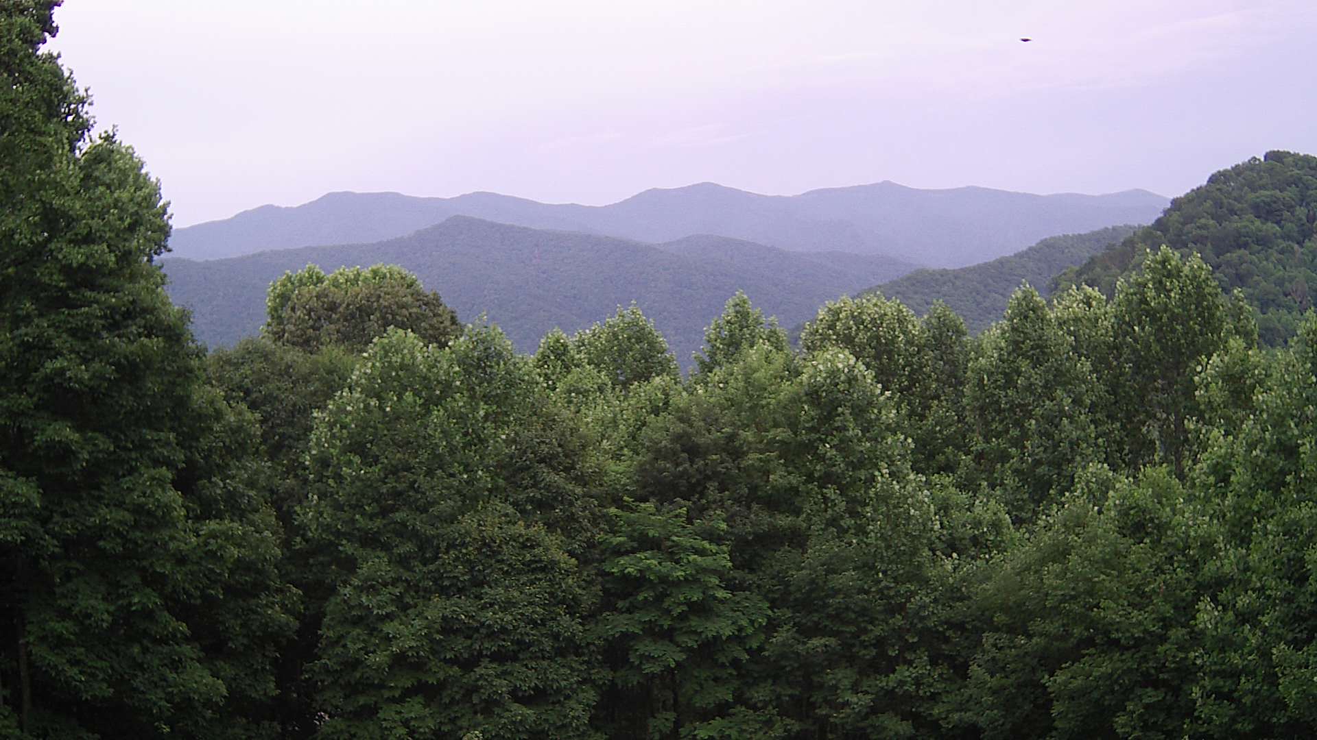 click for next image... slideshow image