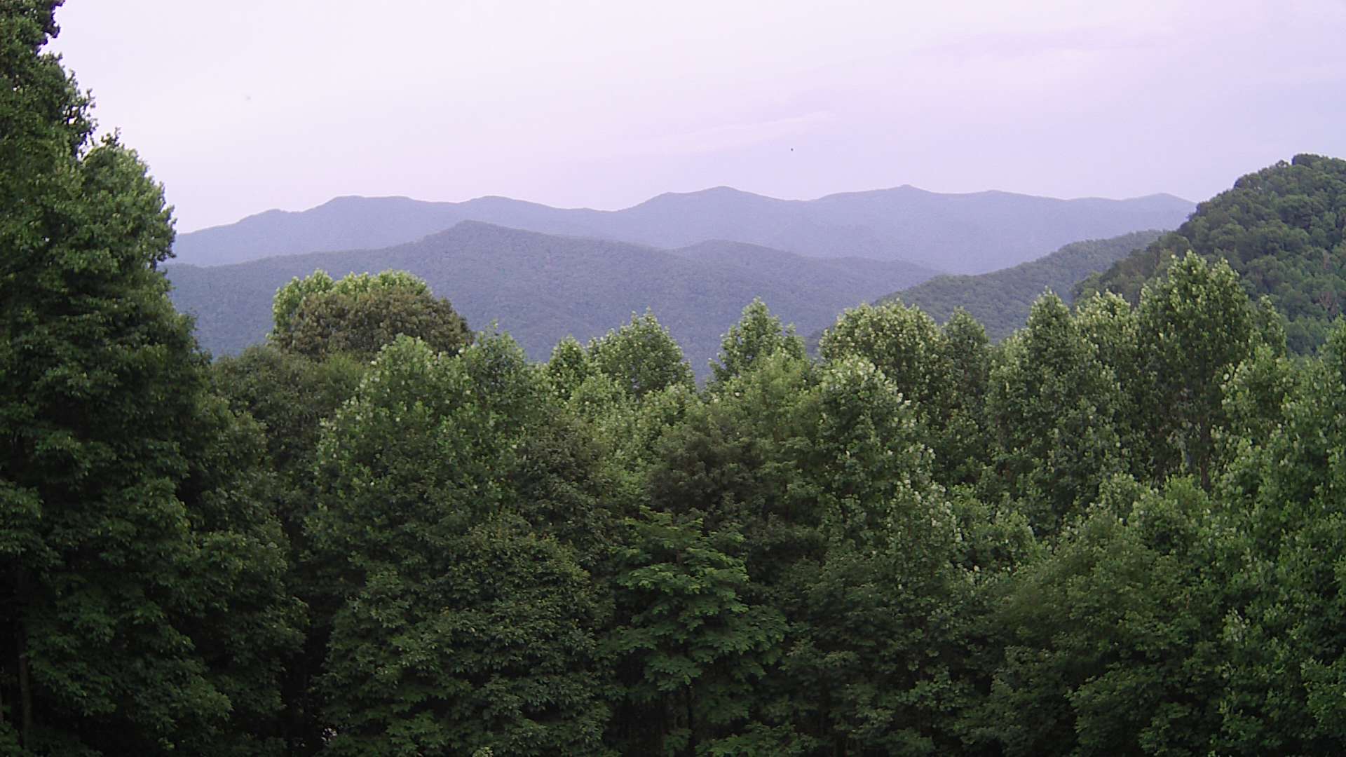 click for next image... slideshow image