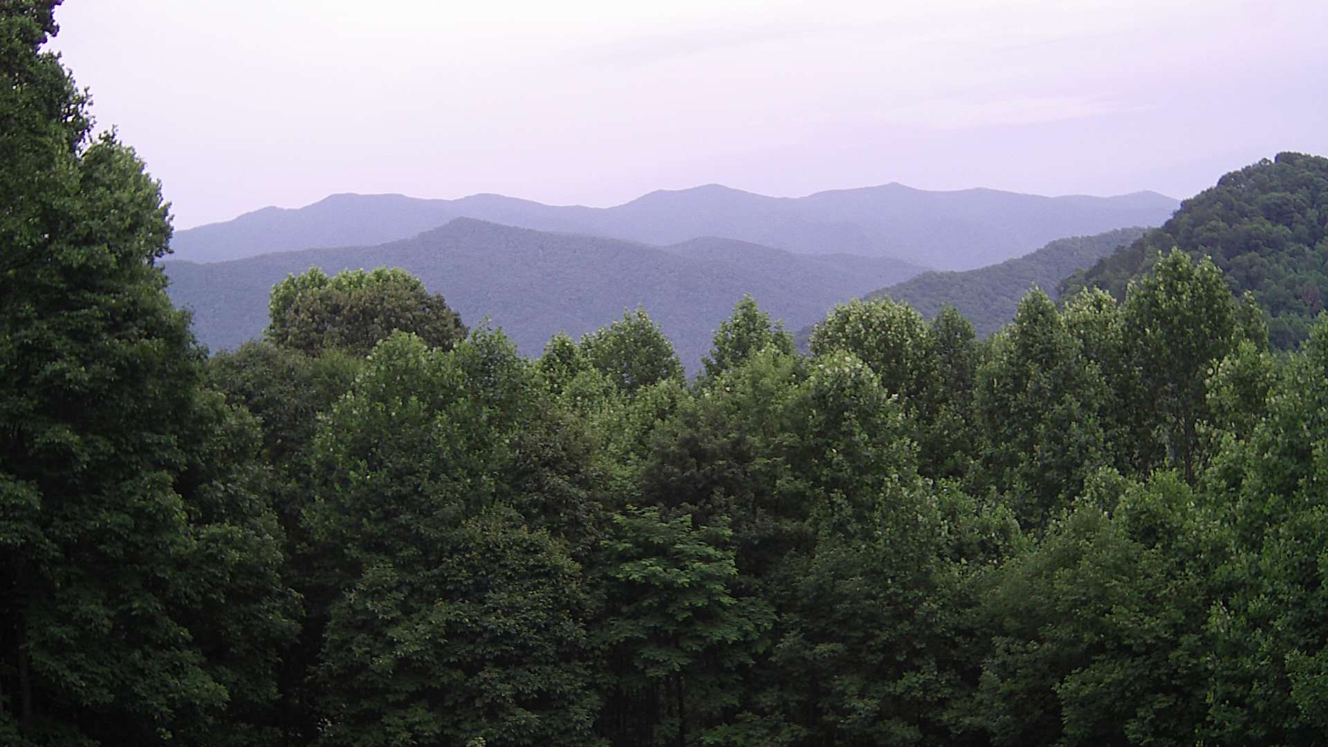 click for next image... slideshow image