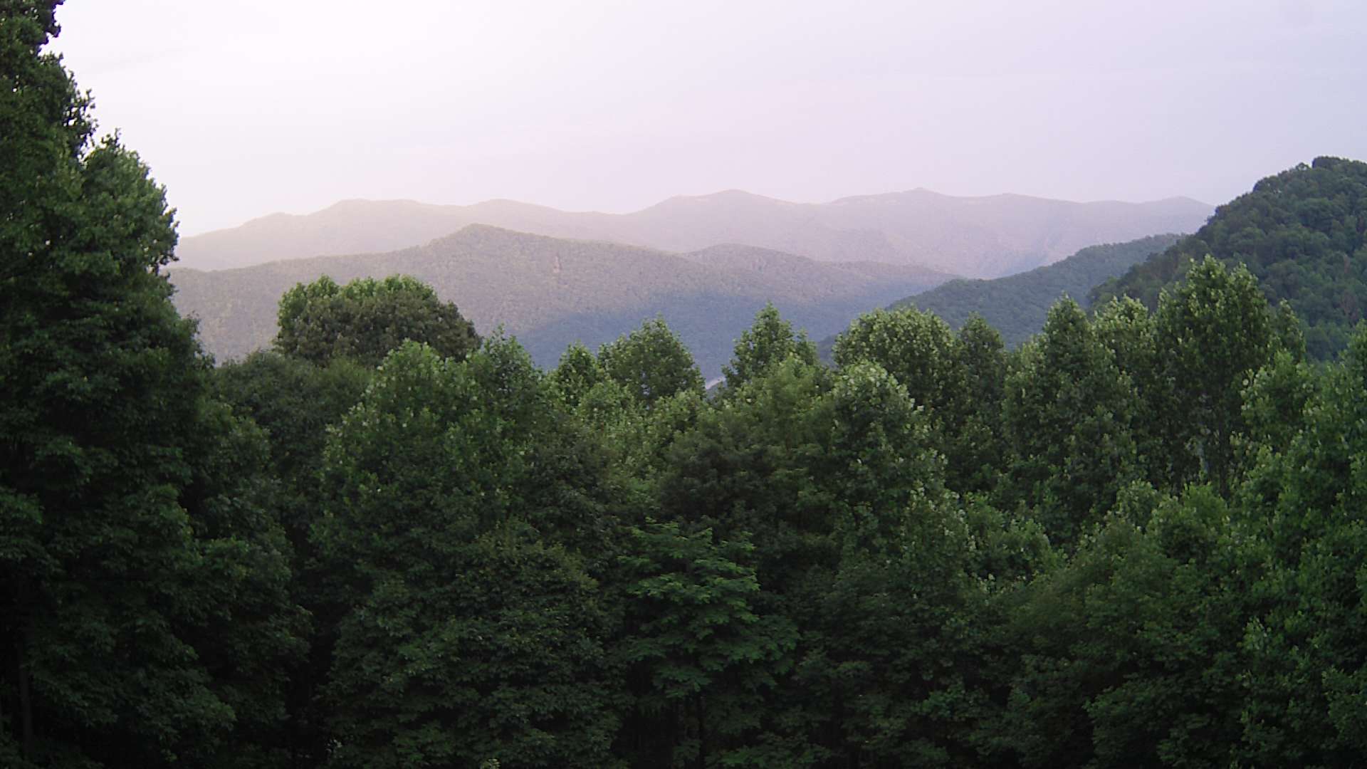 click for next image... slideshow image