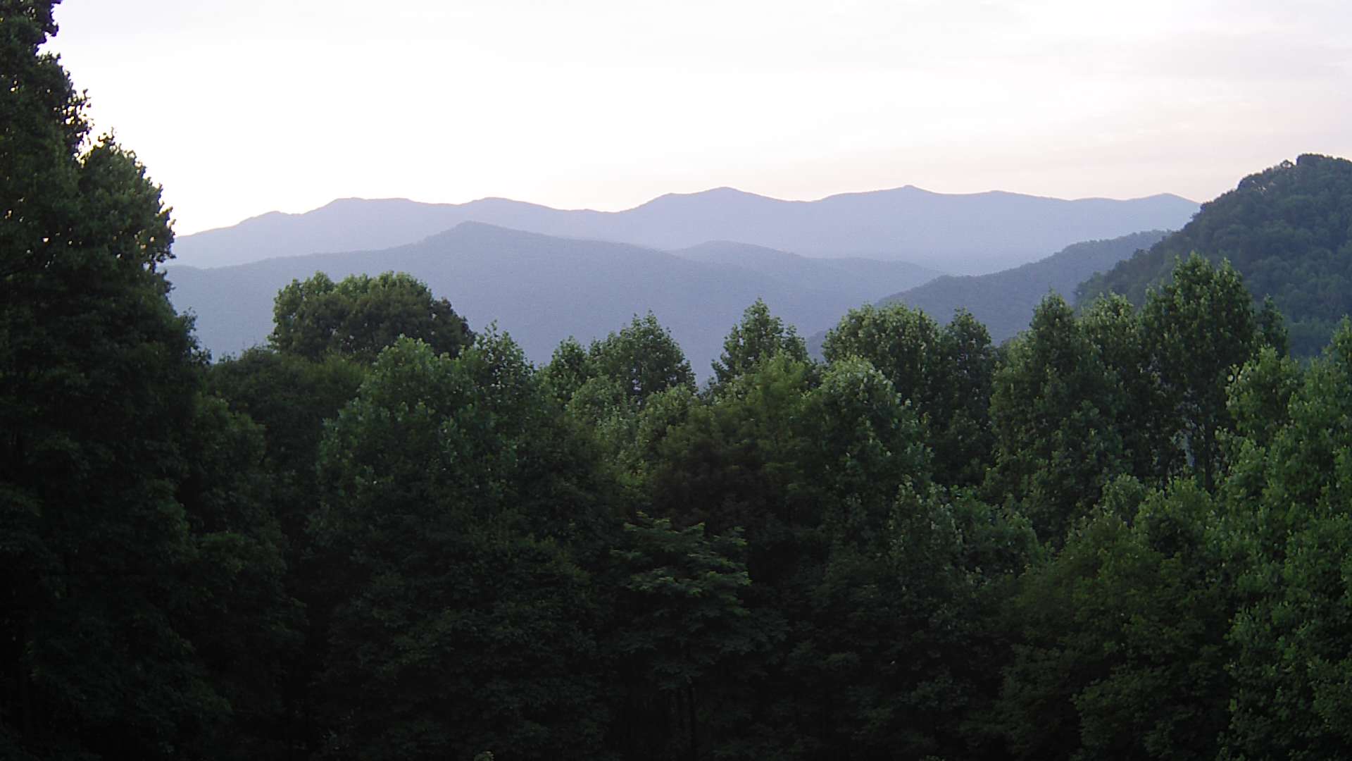 click for next image... slideshow image