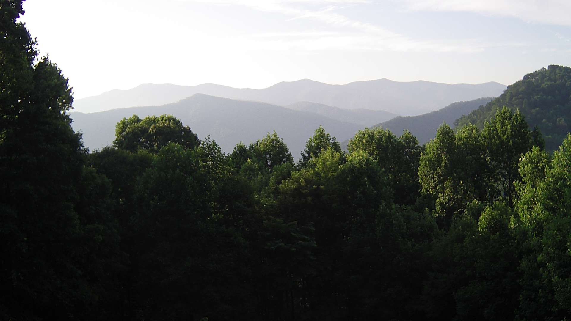 click for next image... slideshow image