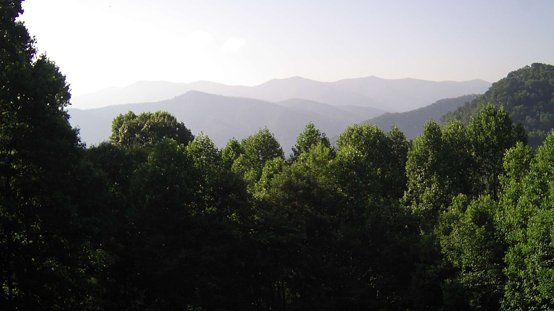 click for next image... slideshow image