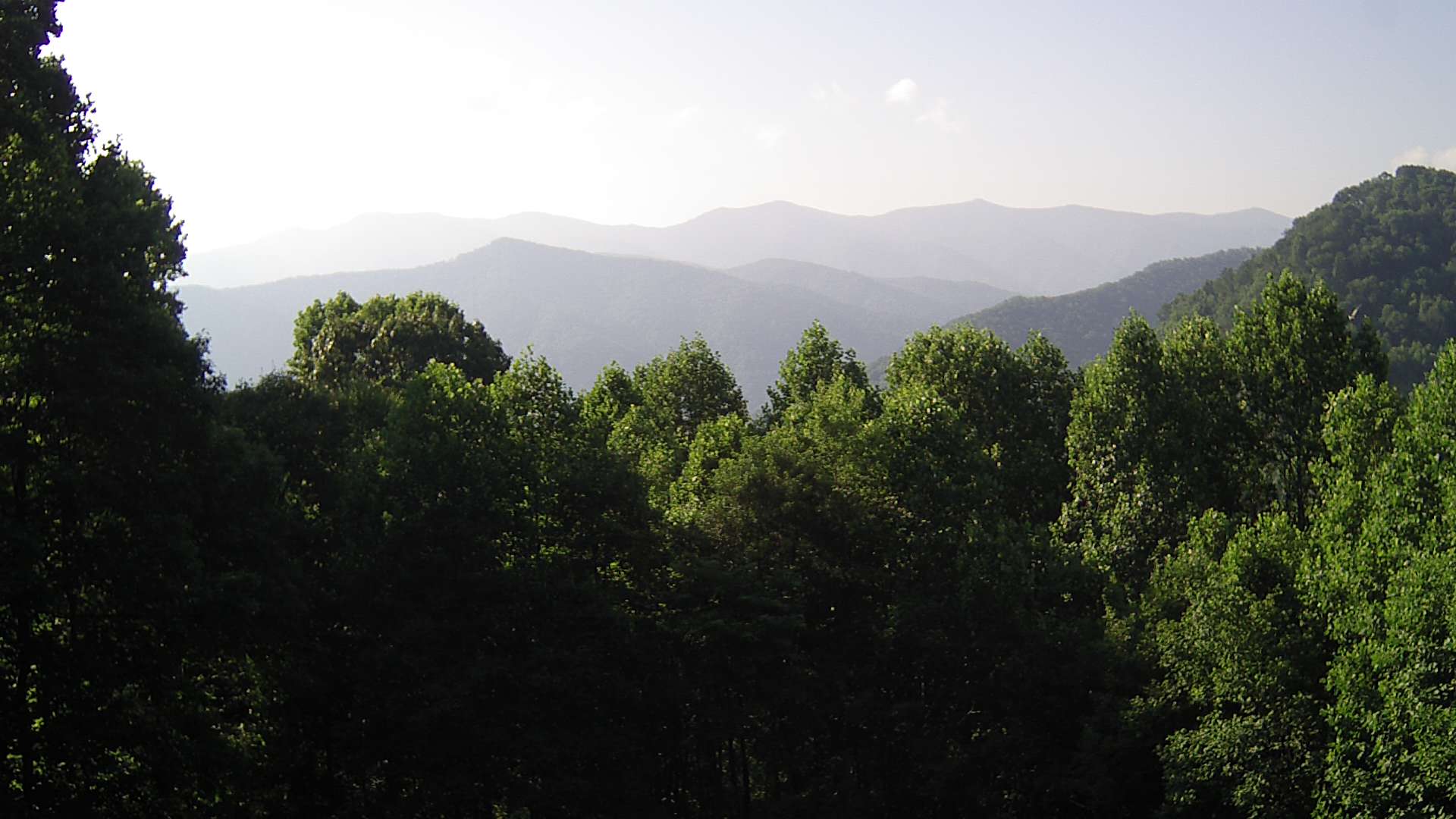 click for next image... slideshow image