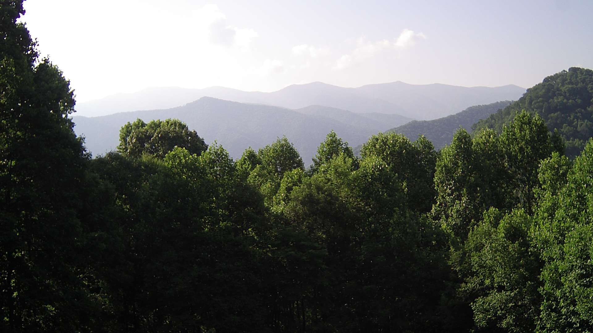 click for next image... slideshow image