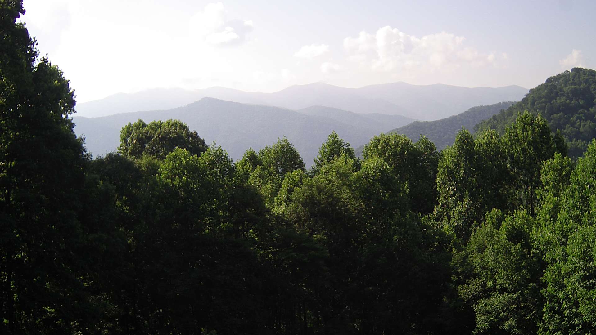 click for next image... slideshow image