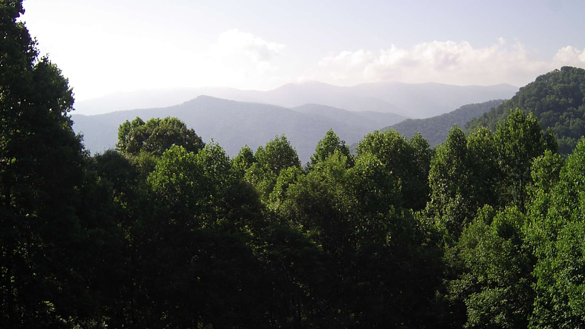 click for next image... slideshow image