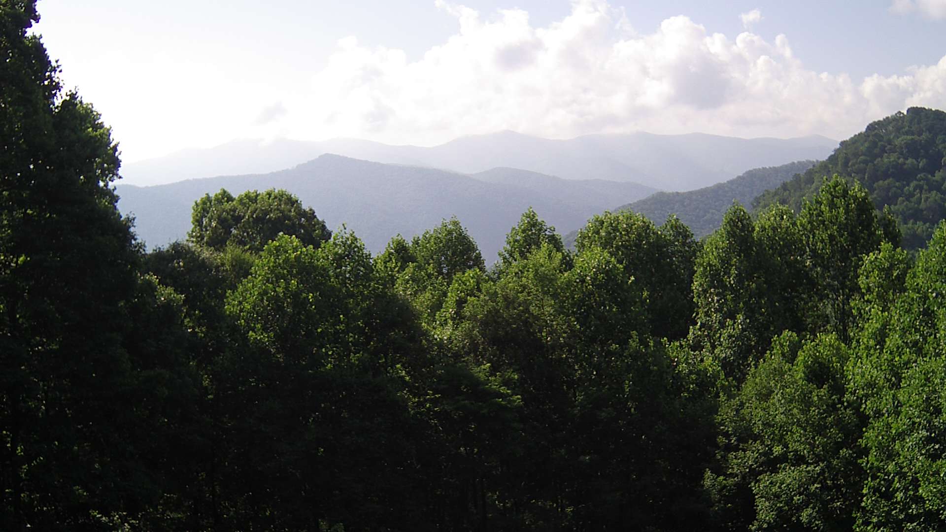 click for next image... slideshow image