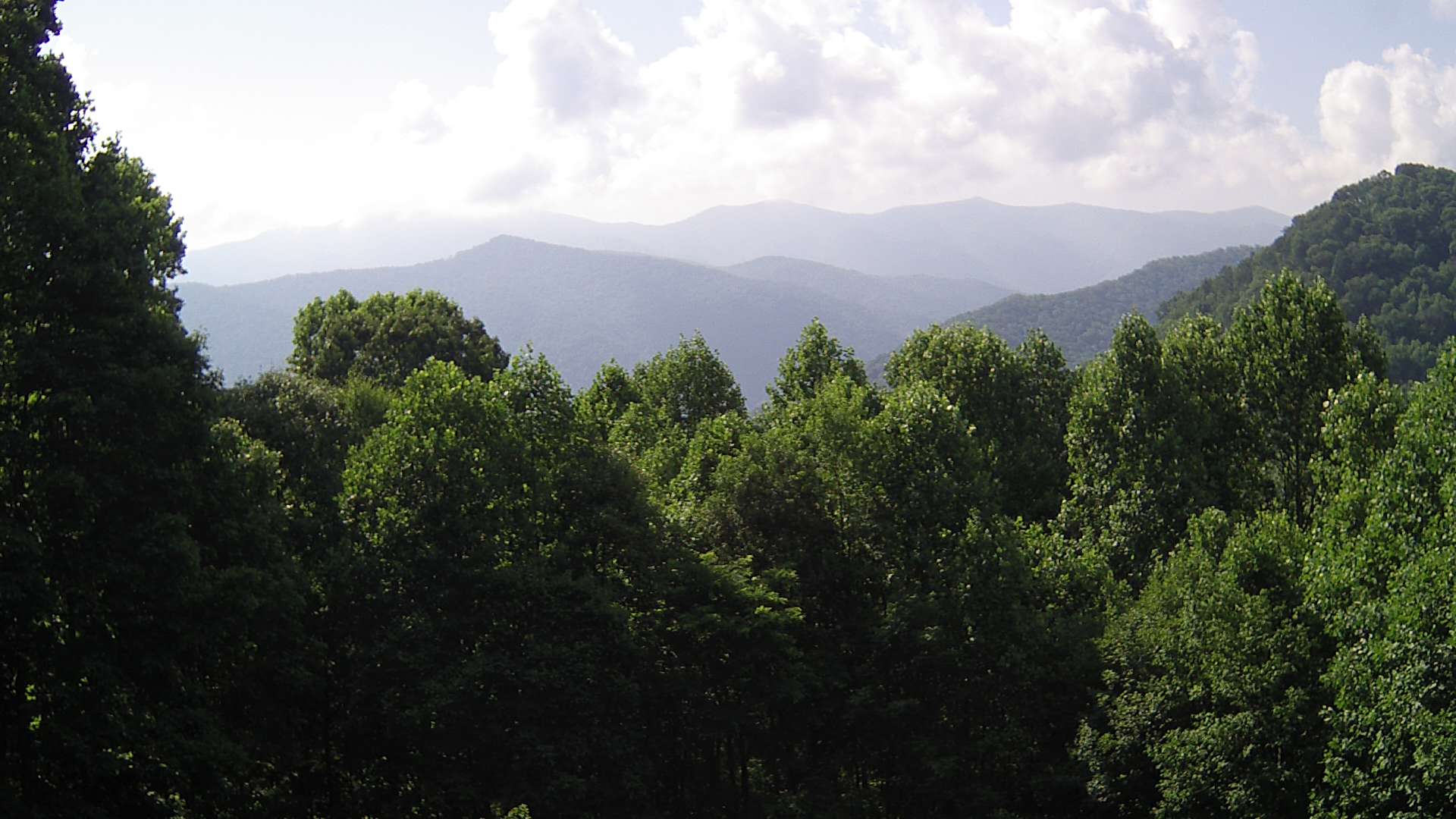 click for next image... slideshow image