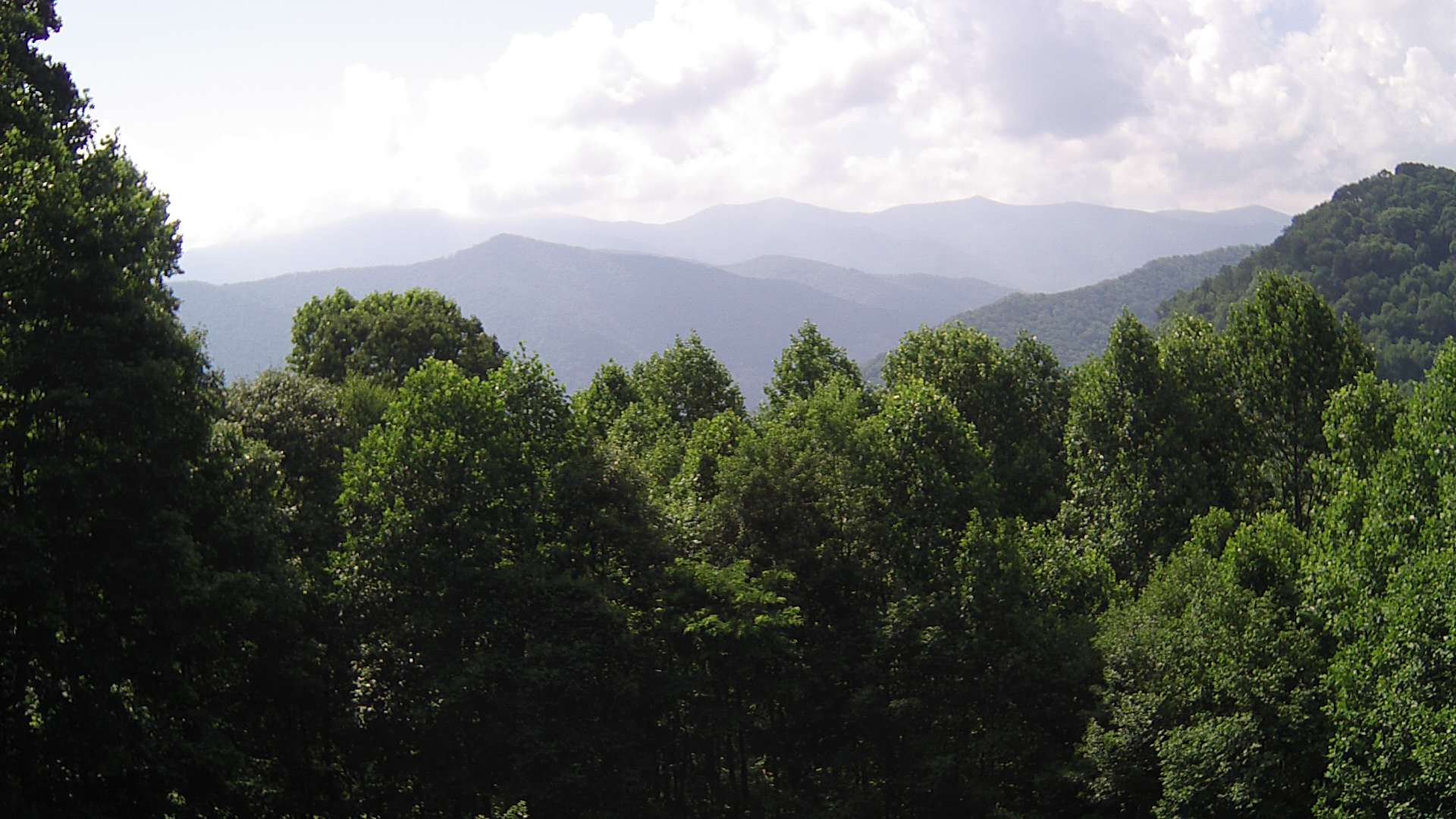 click for next image... slideshow image