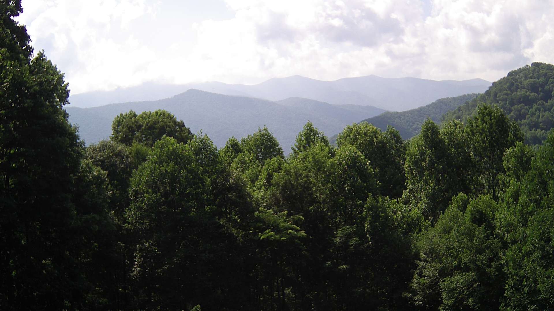 click for next image... slideshow image