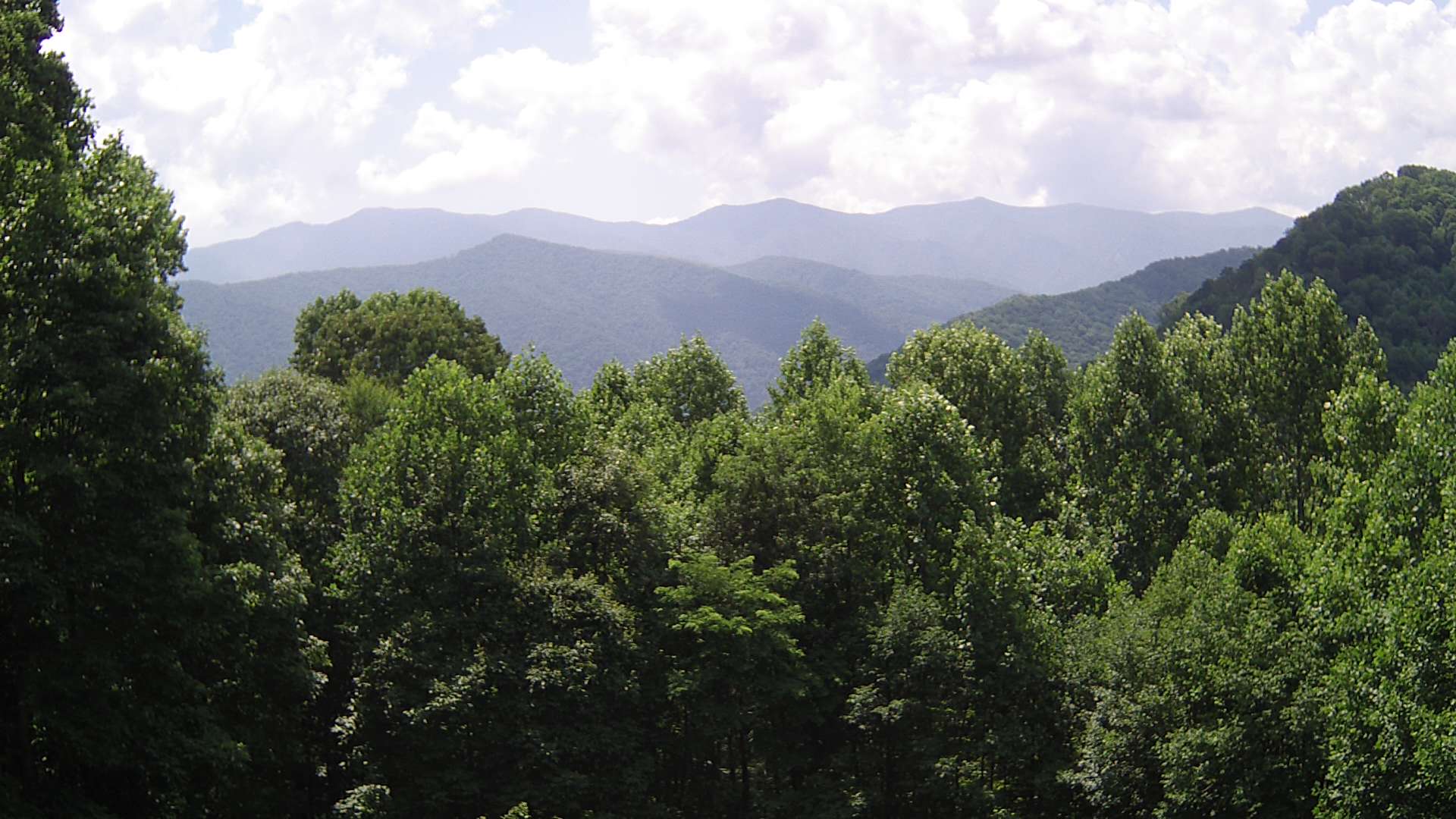 click for next image... slideshow image