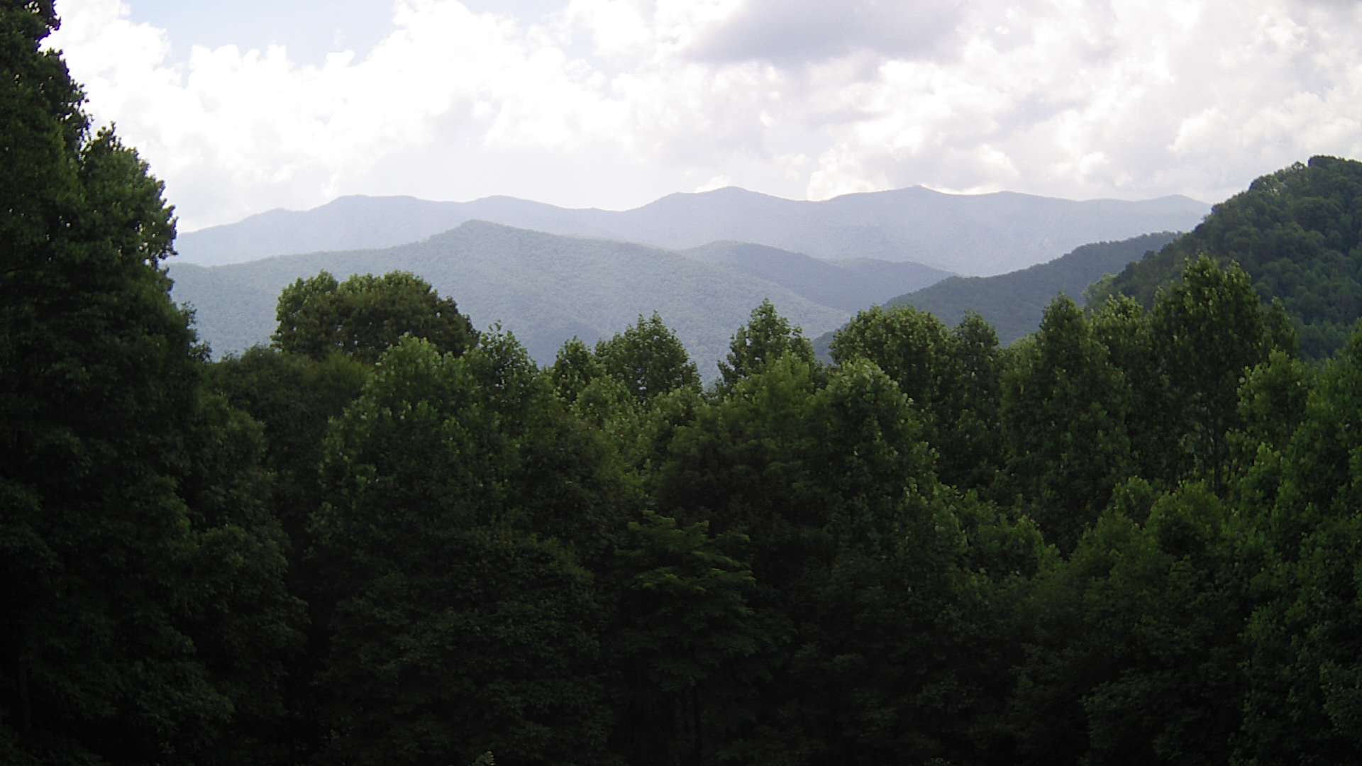 click for next image... slideshow image