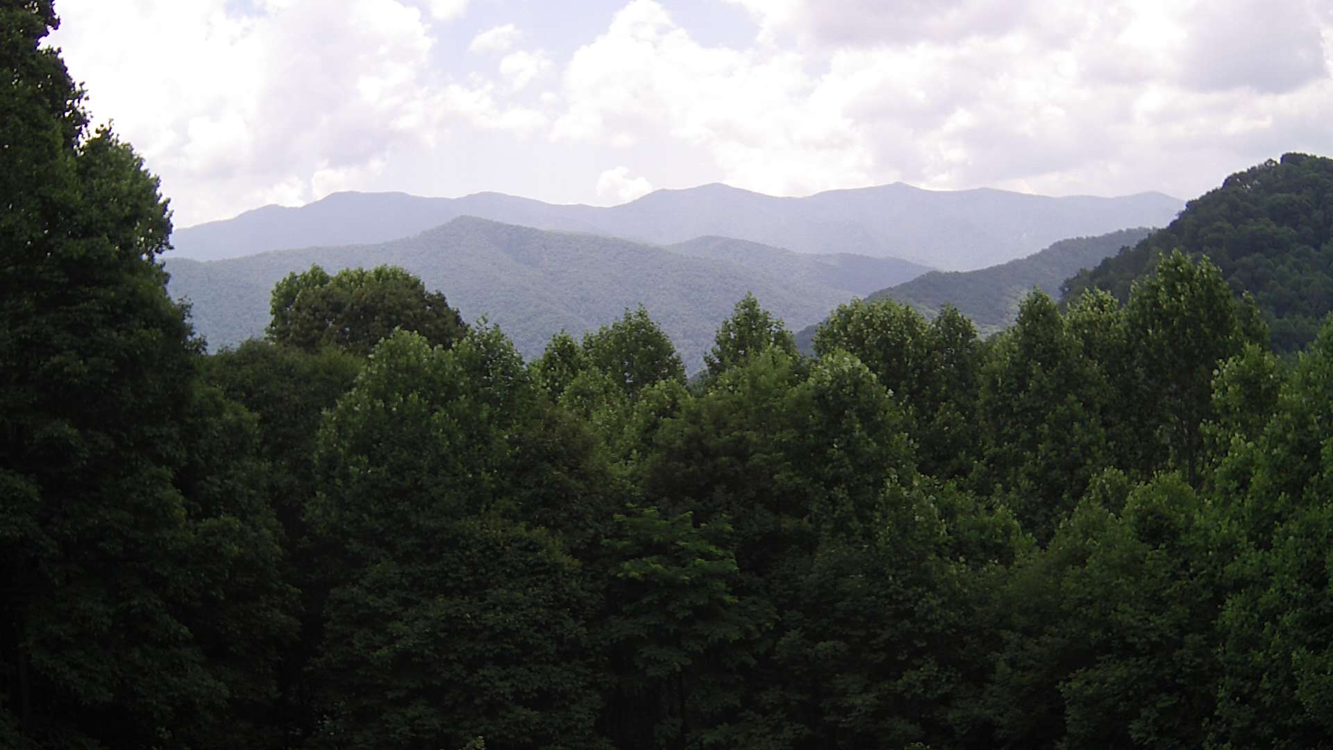 click for next image... slideshow image