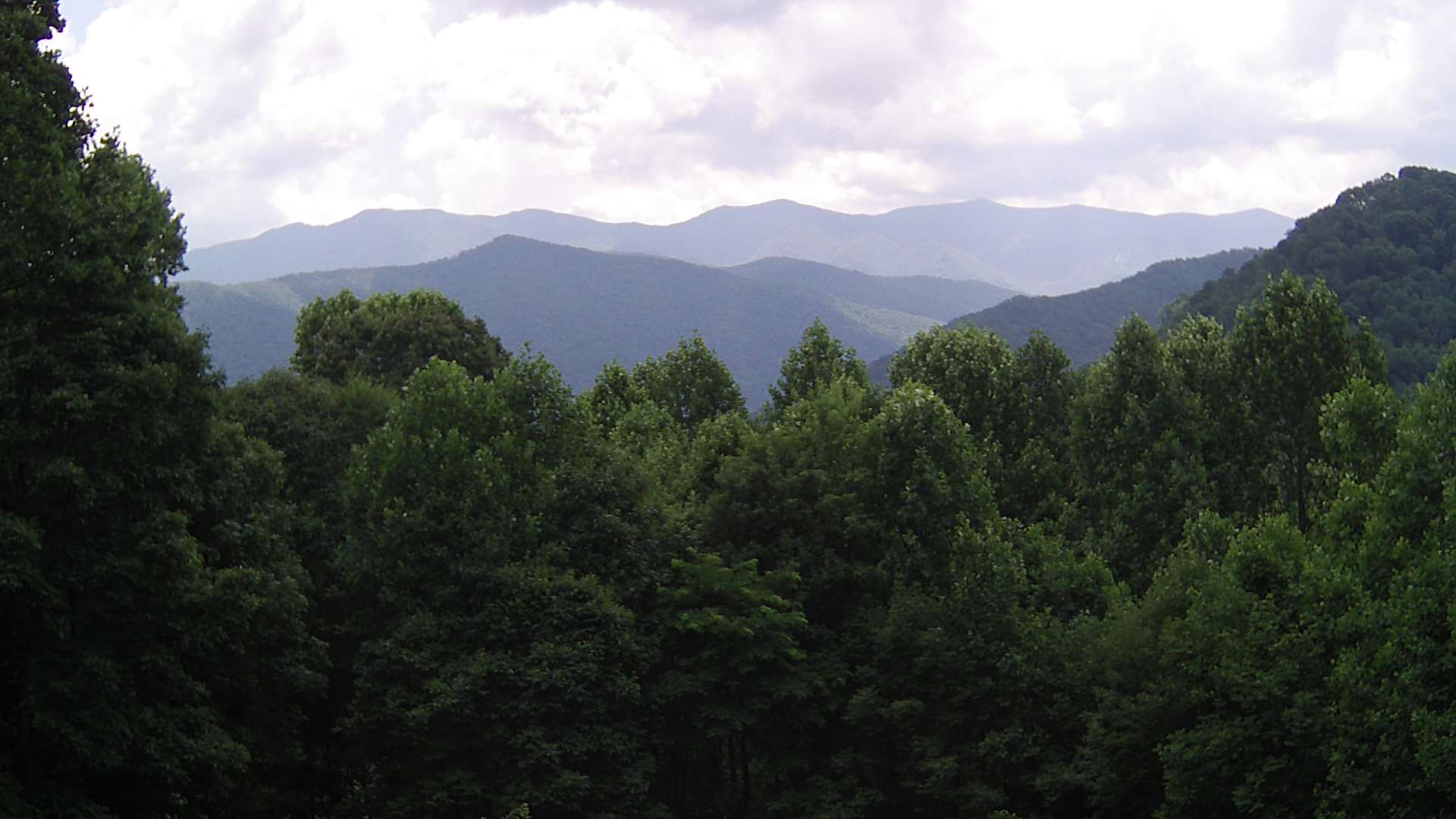 click for next image... slideshow image