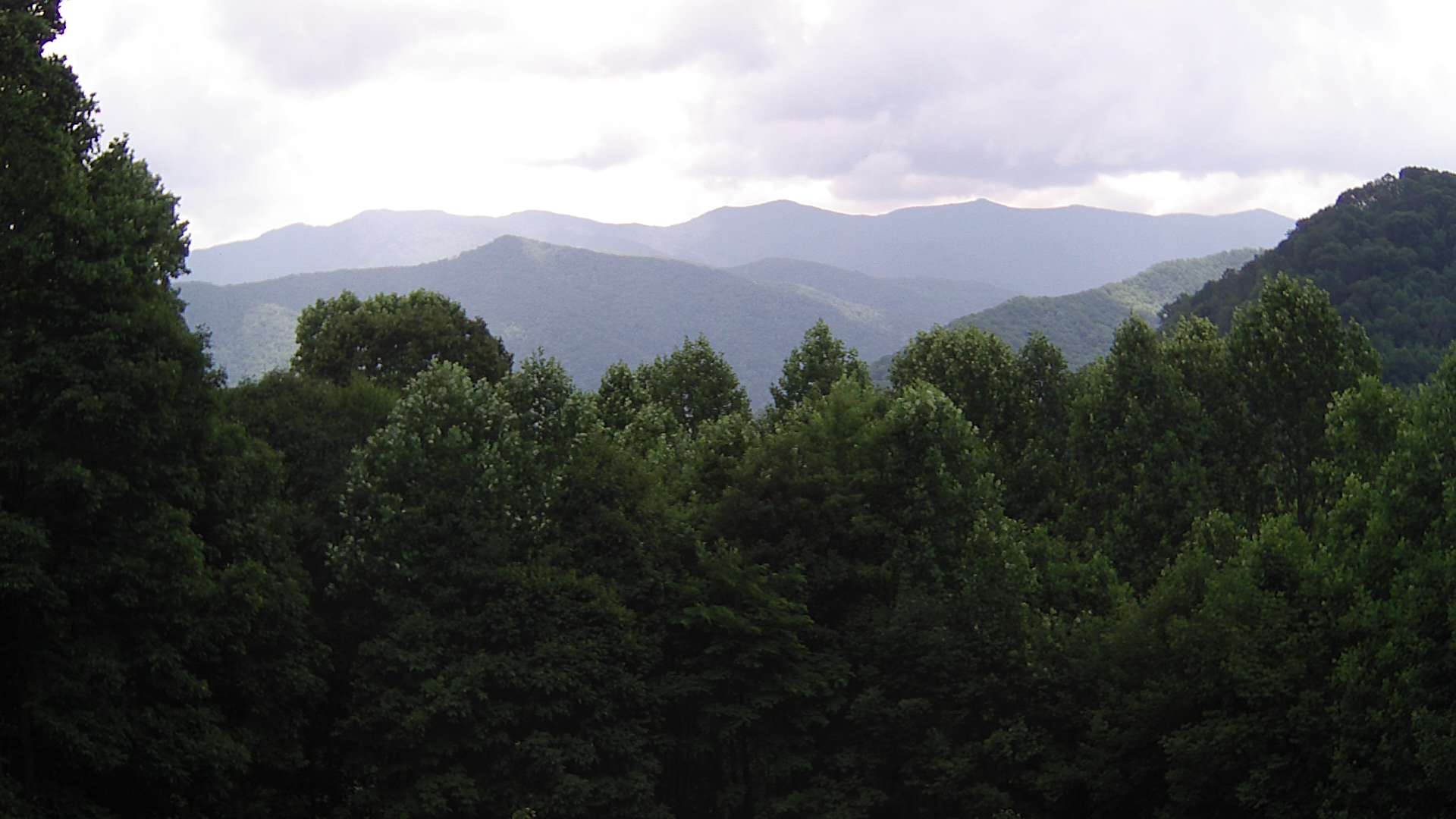 click for next image... slideshow image