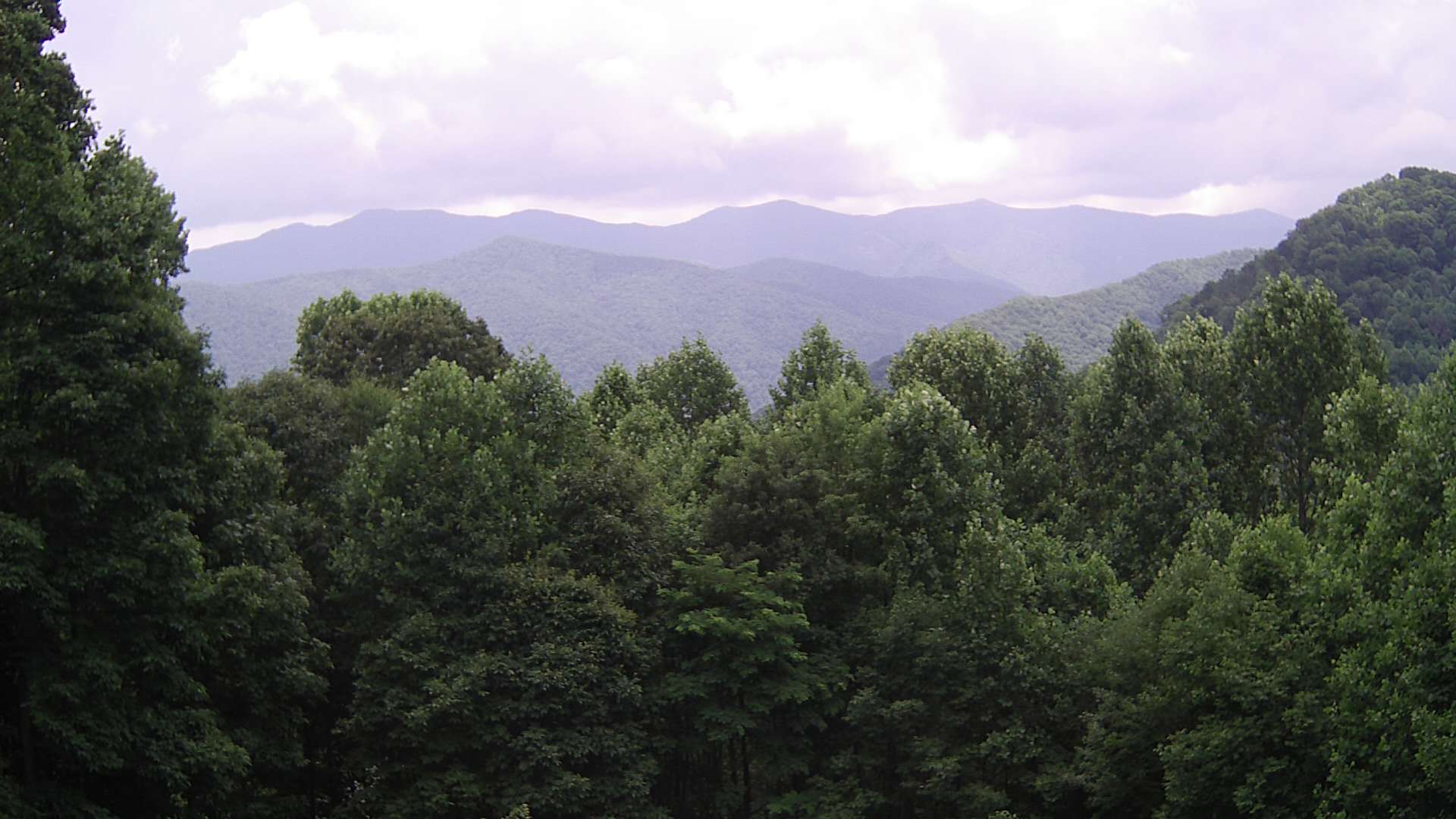 click for next image... slideshow image