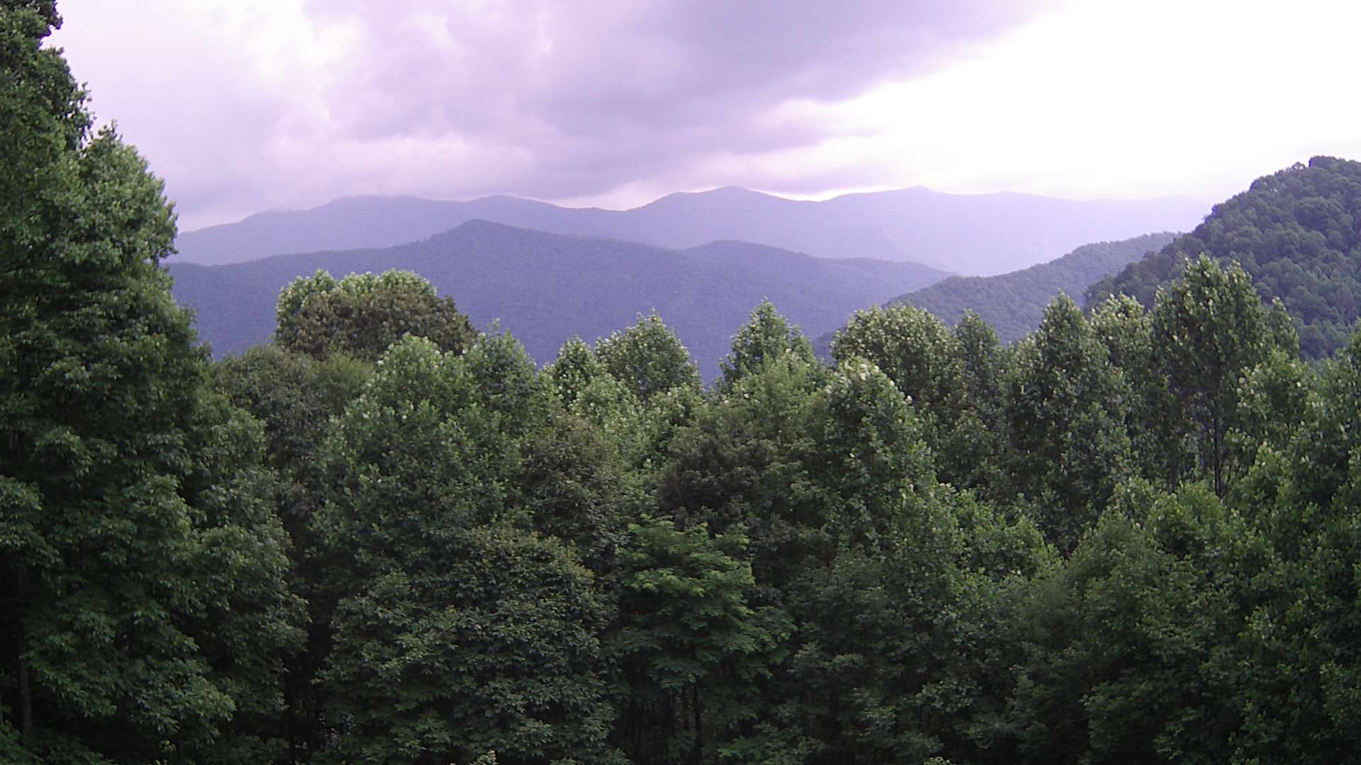 click for next image... slideshow image