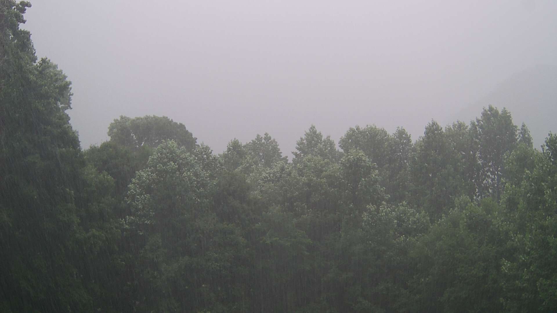 click for next image... slideshow image