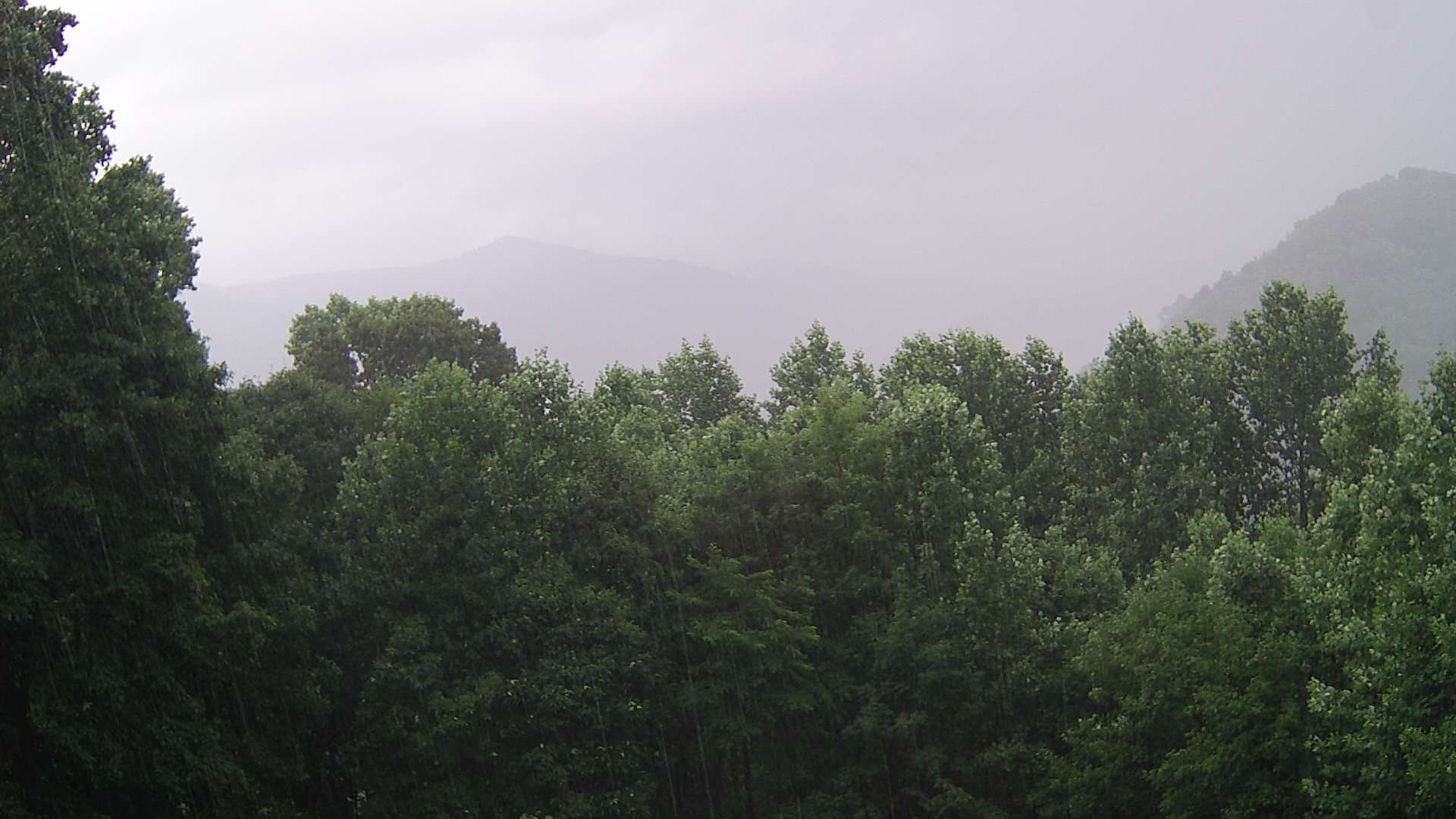 click for next image... slideshow image