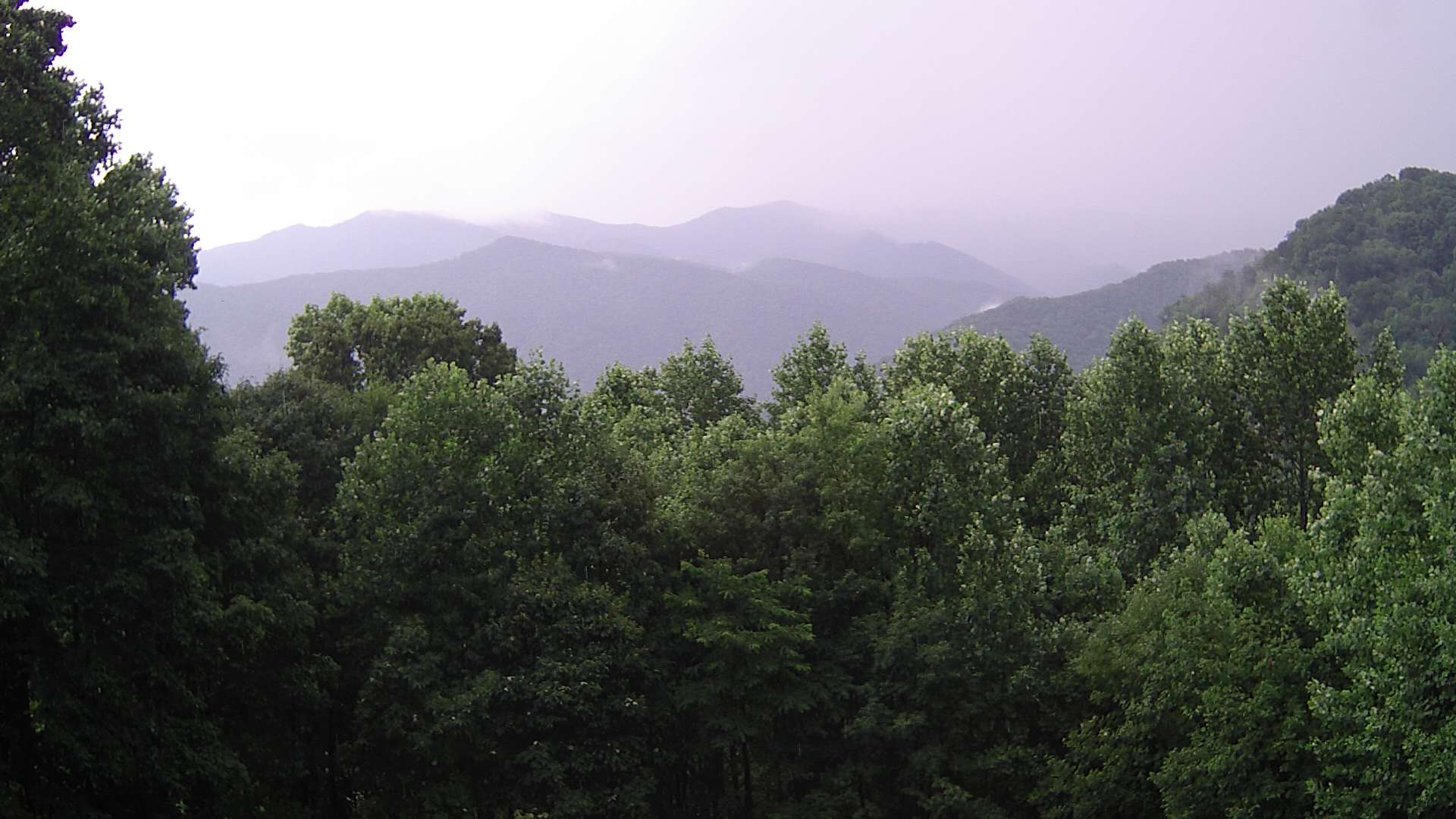 click for next image... slideshow image