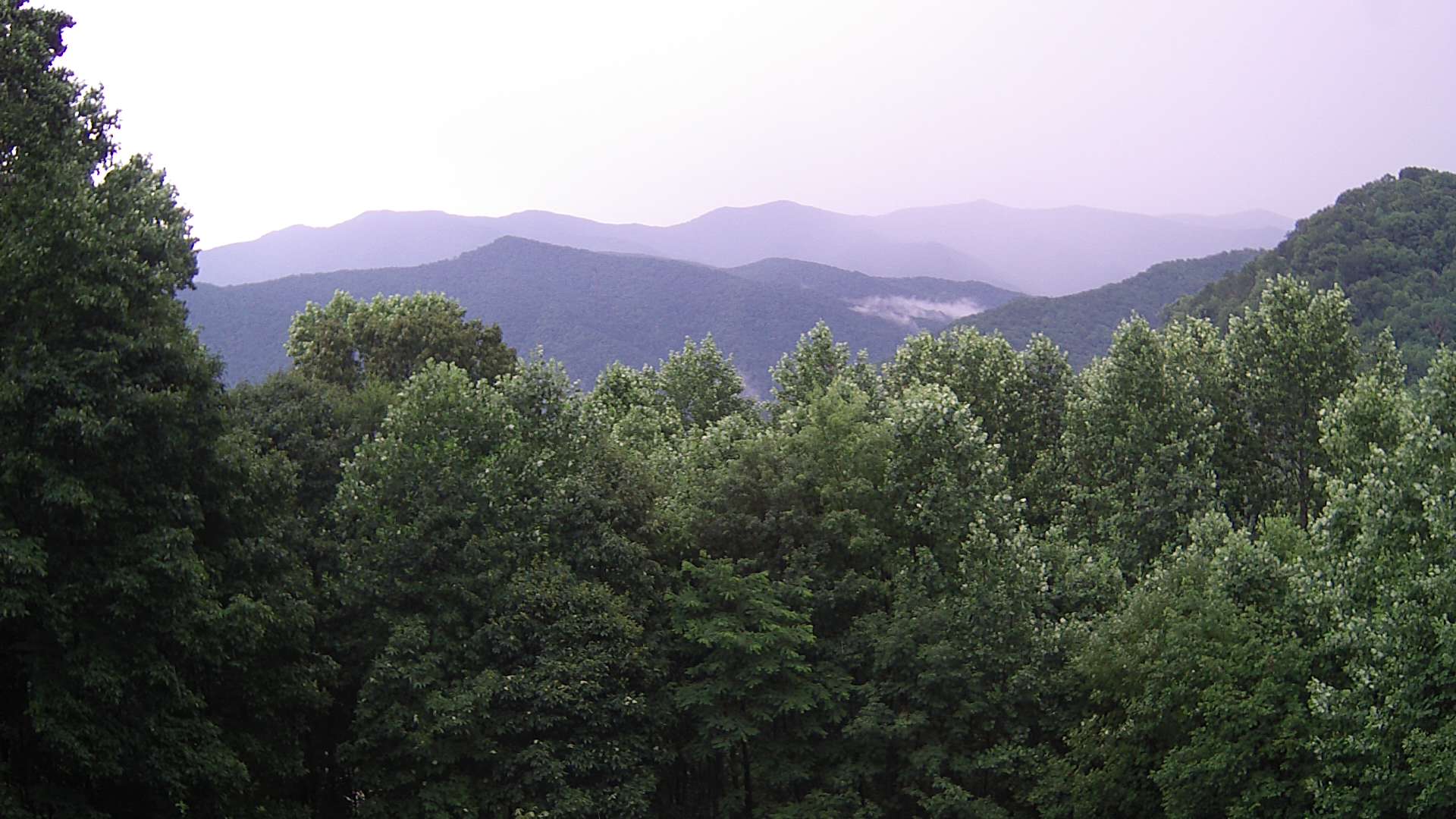 click for next image... slideshow image