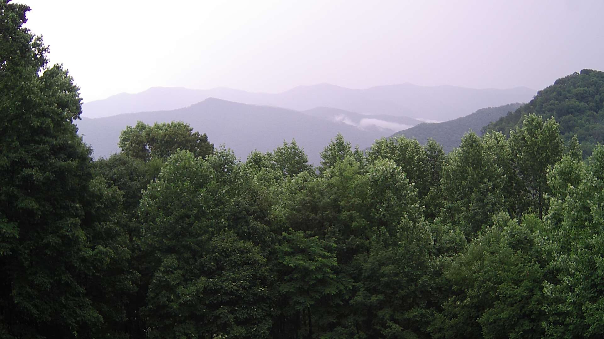 click for next image... slideshow image