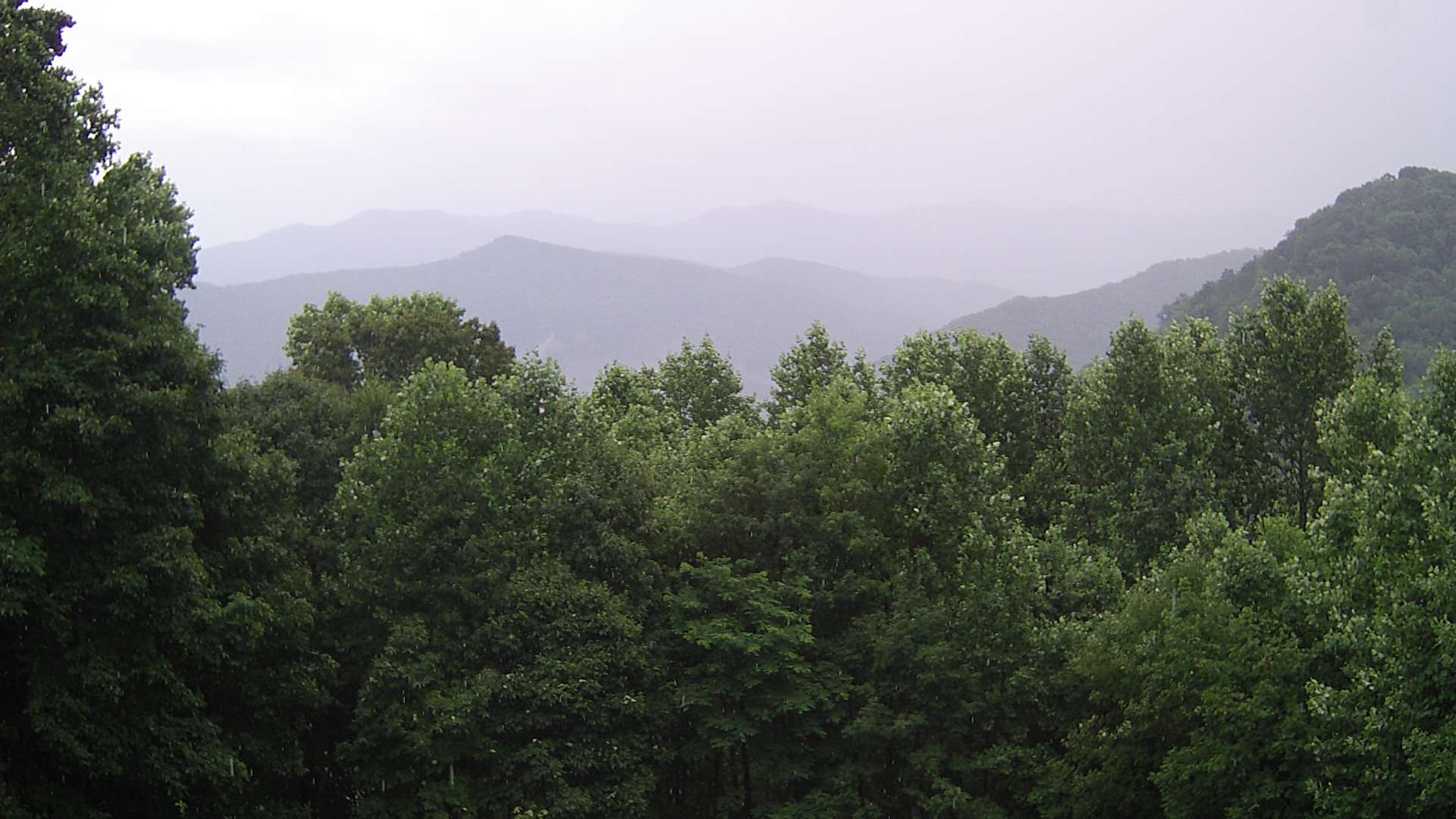 click for next image... slideshow image