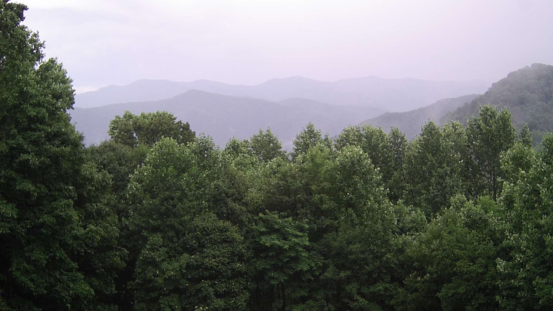 click for next image... slideshow image