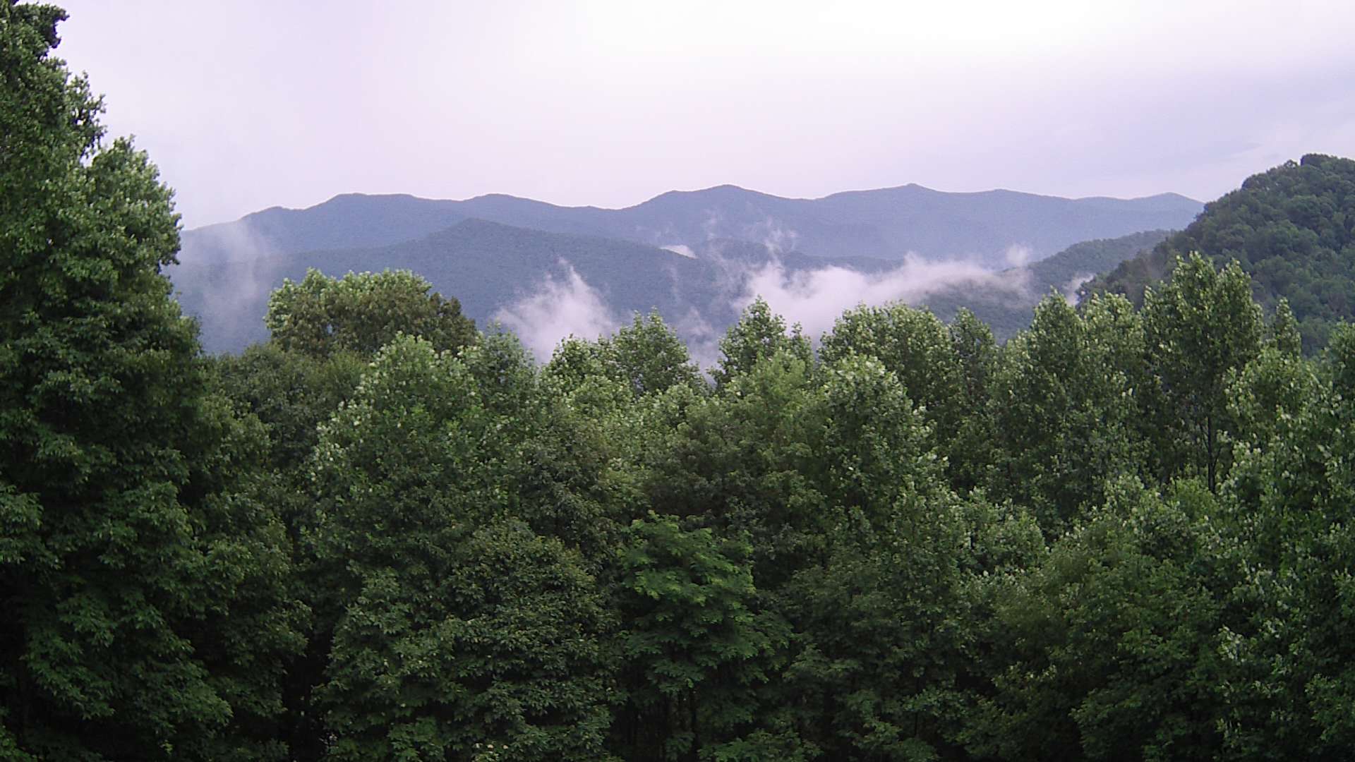 click for next image... slideshow image