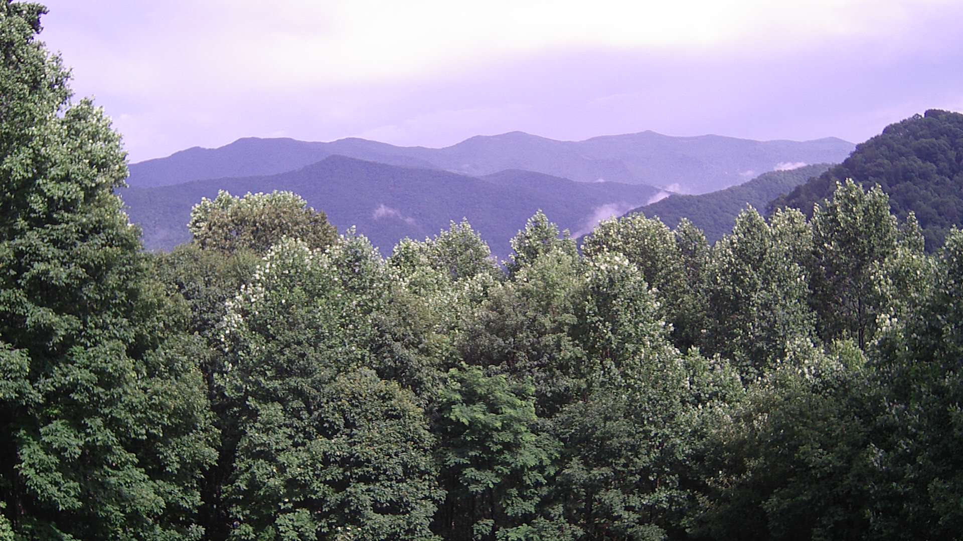 click for next image... slideshow image