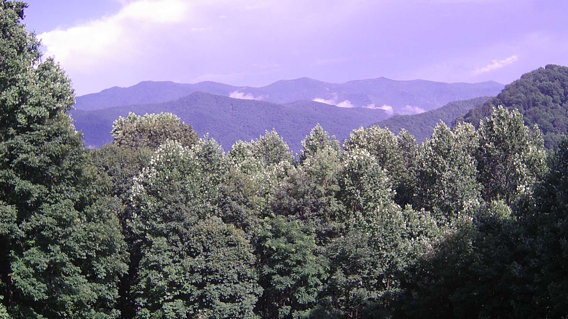 click for next image... slideshow image