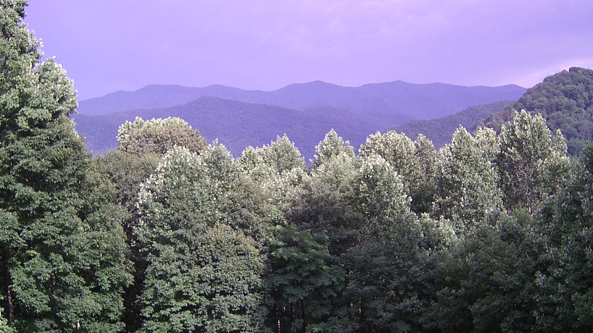 click for next image... slideshow image